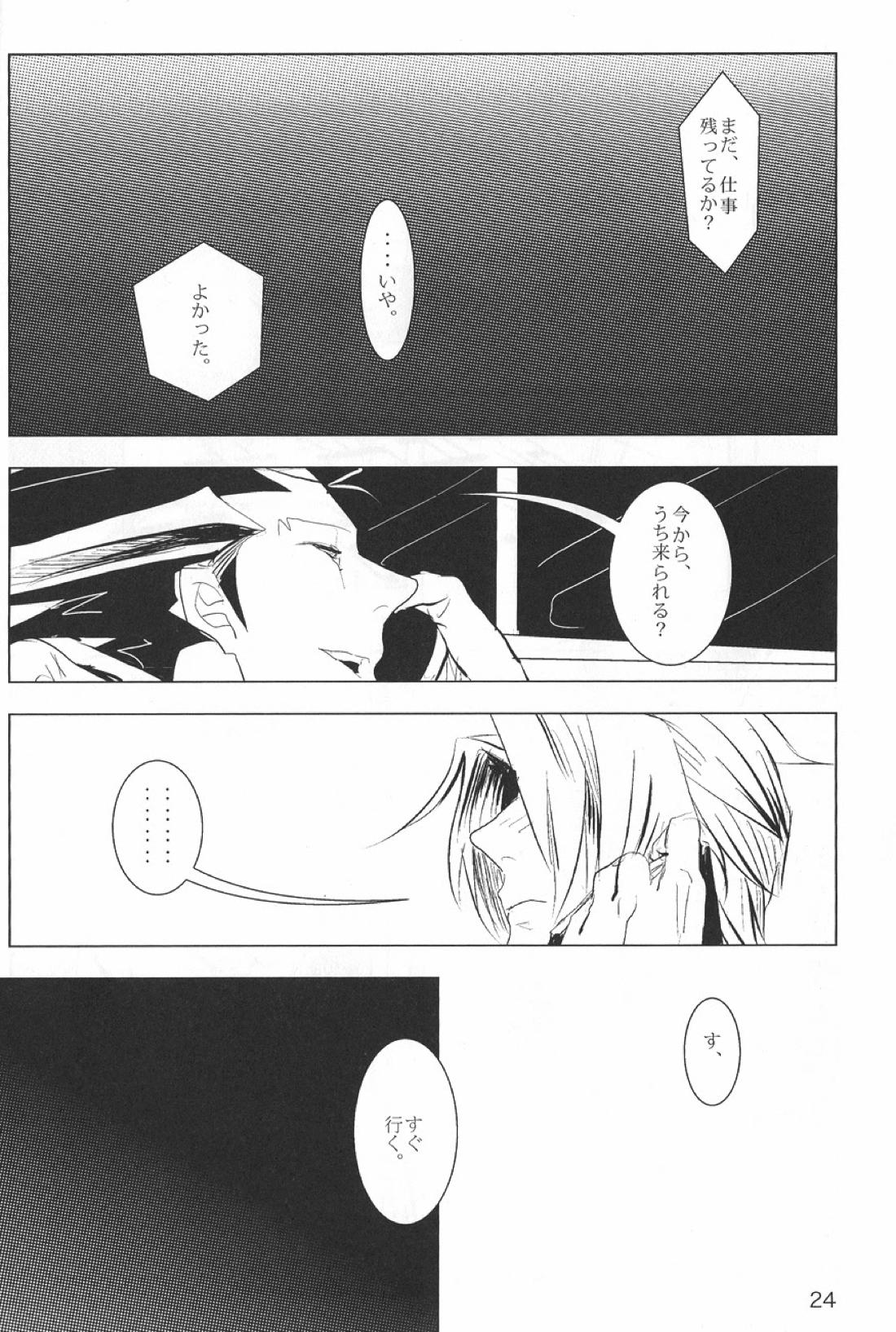 NEGATIVIA【逆転裁判/ナルミツ】 page 25