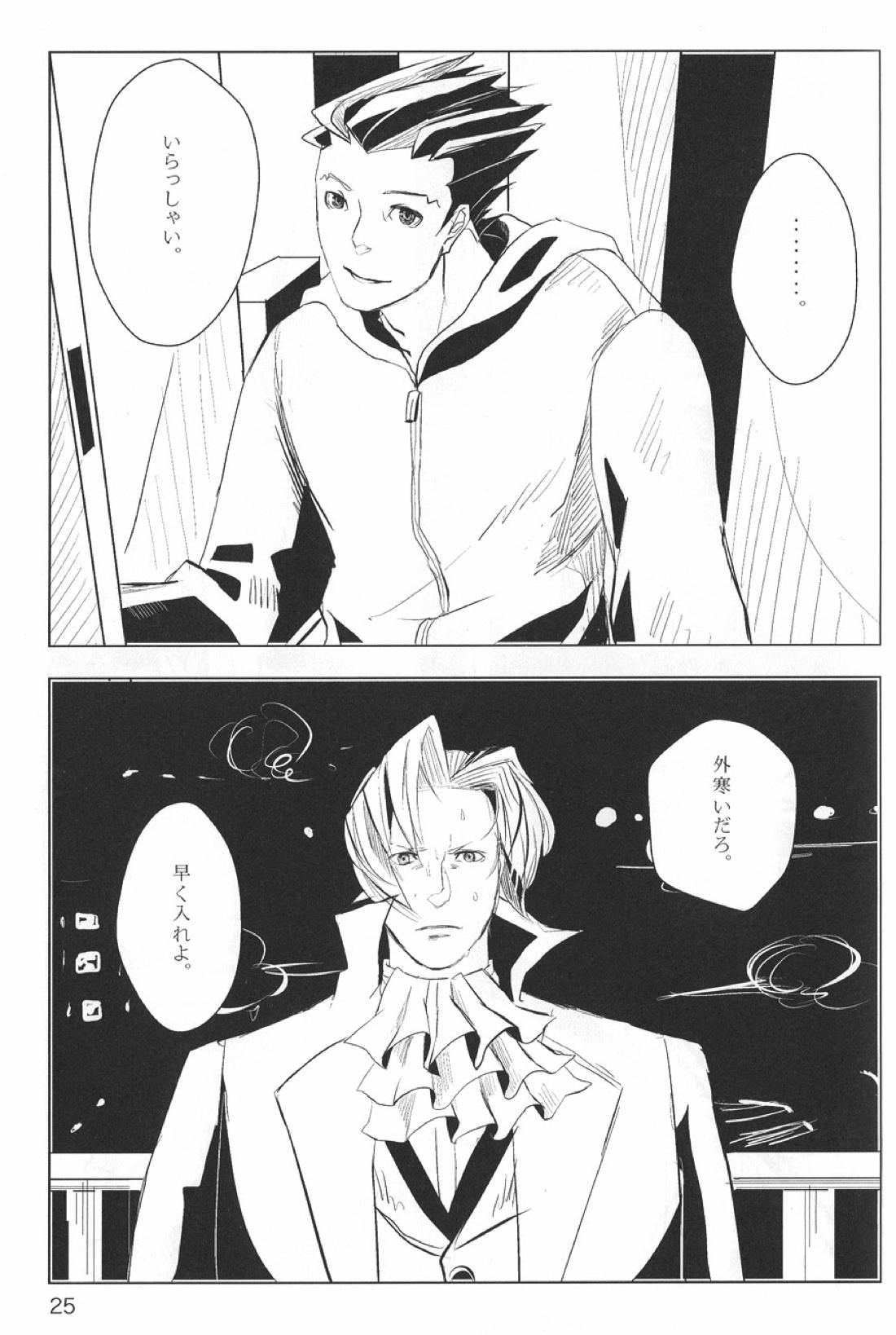 NEGATIVIA【逆転裁判/ナルミツ】 page 26