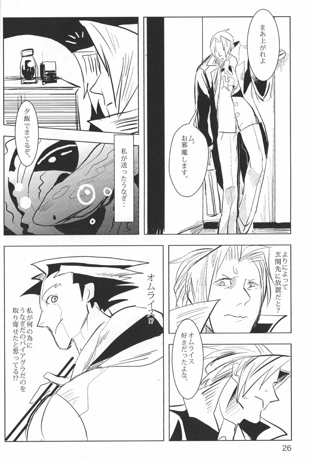 NEGATIVIA【逆転裁判/ナルミツ】 page 27