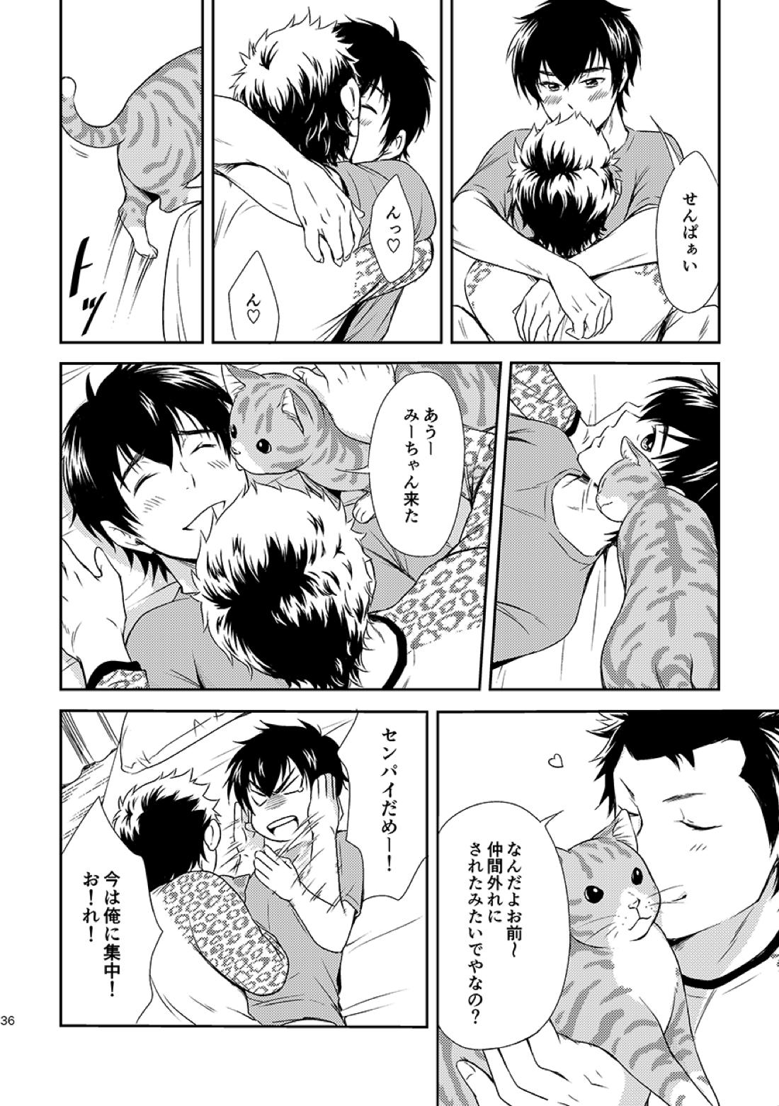 ねことくらす【ダイヤのA/倉沢】 page 36