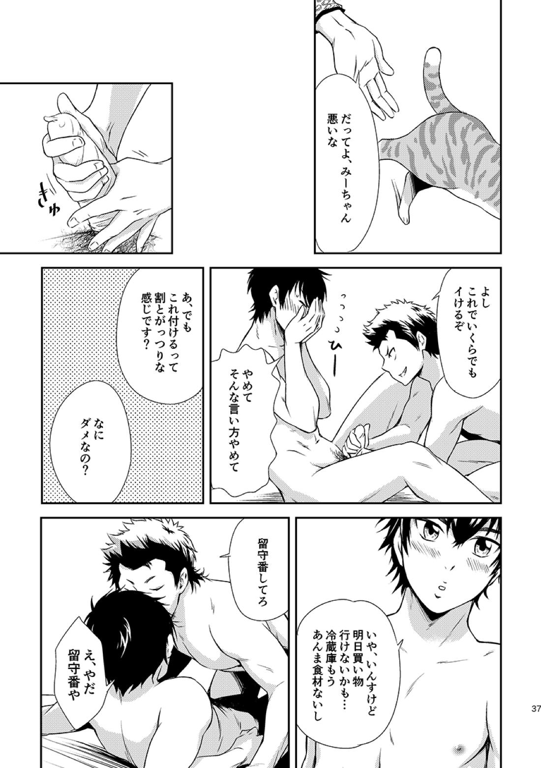 ねことくらす【ダイヤのA/倉沢】 page 37