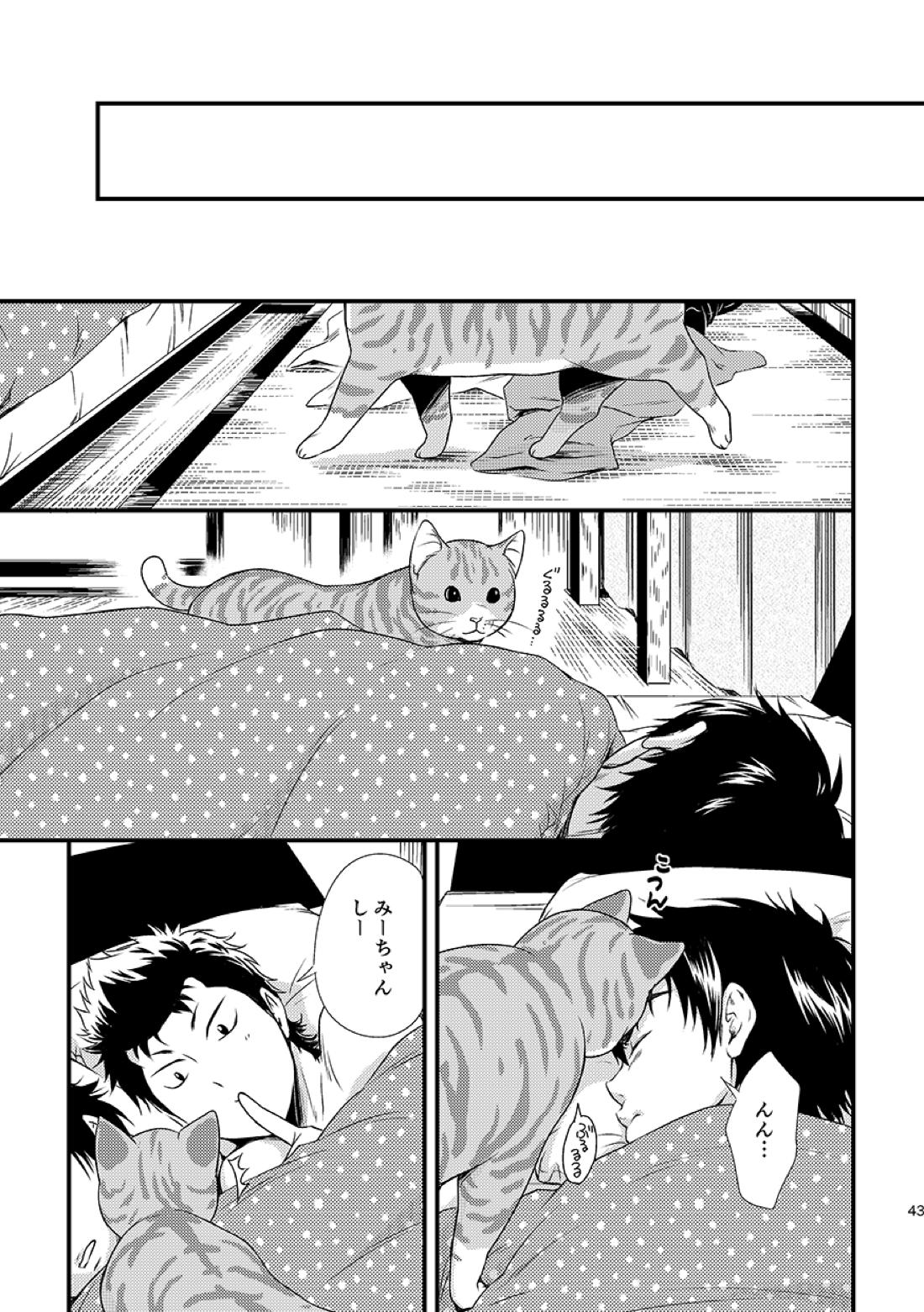 ねことくらす【ダイヤのA/倉沢】 page 43