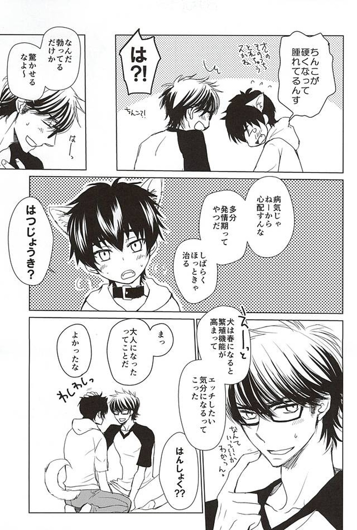 沢村が軽率に犬になりました。【ダイヤのA/御沢】 page 18
