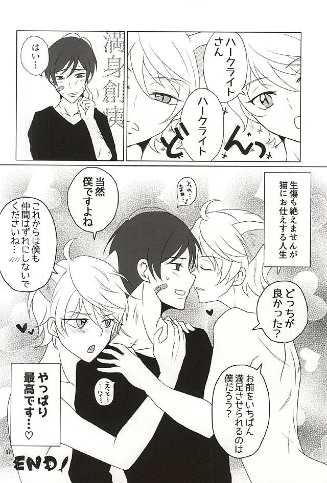下僕、猫を飼う【アルドノア・ゼロ/ハークライト×スレイン】 page 14