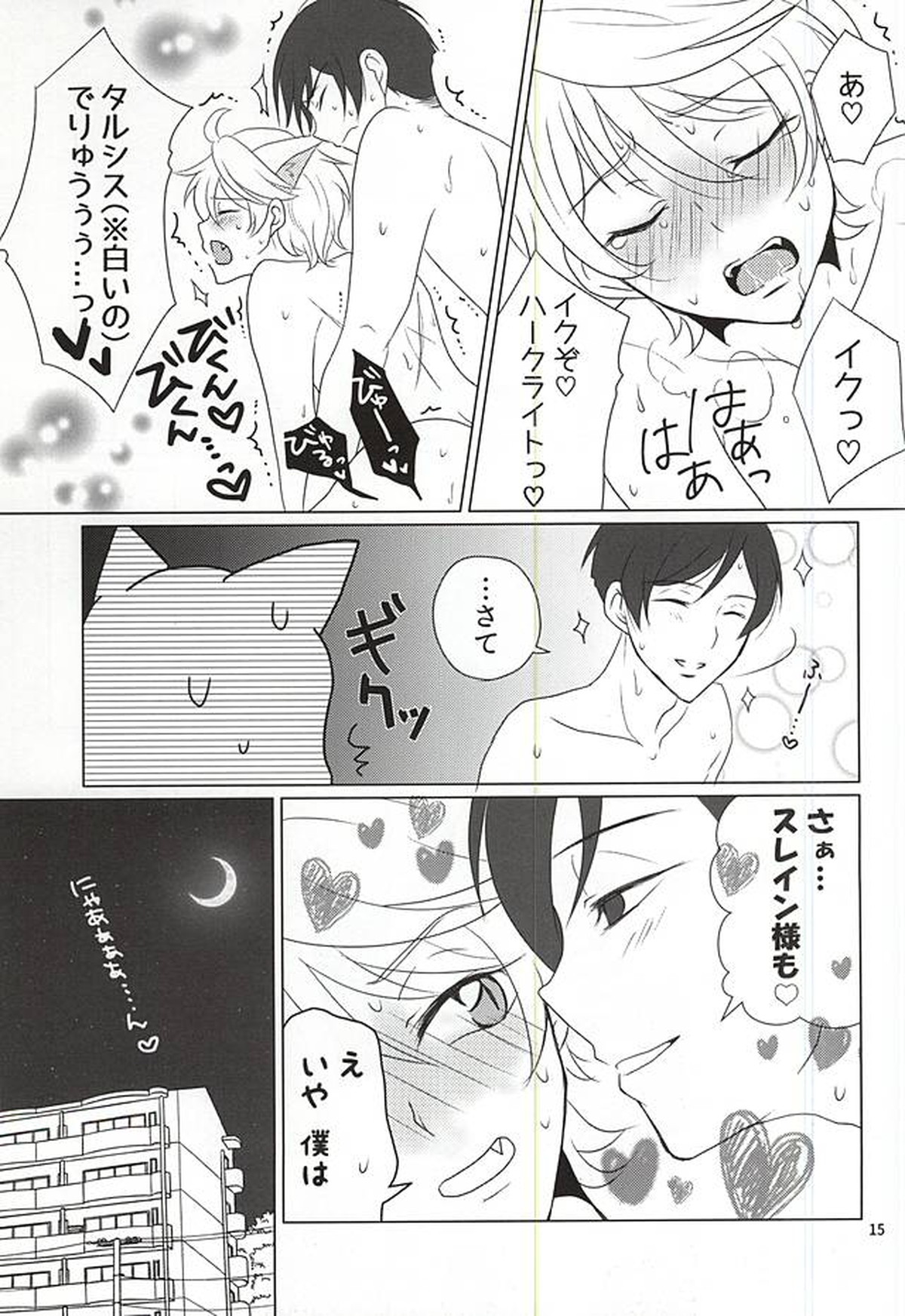 下僕、猫を飼う【アルドノア・ゼロ/ハークライト×スレイン】 page 13