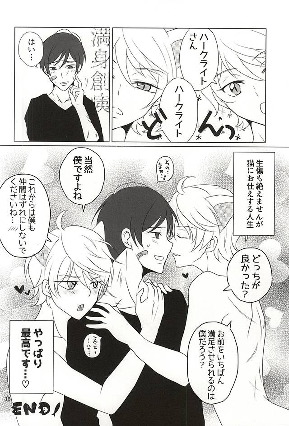 下僕、猫を飼う【アルドノア・ゼロ/ハークライト×スレイン】 page 14