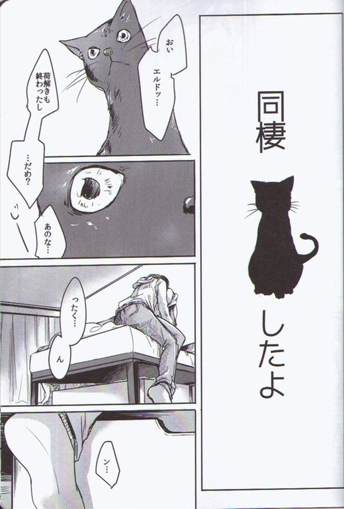 Sugar Coat【進撃の巨人/エルドリ】 page 19