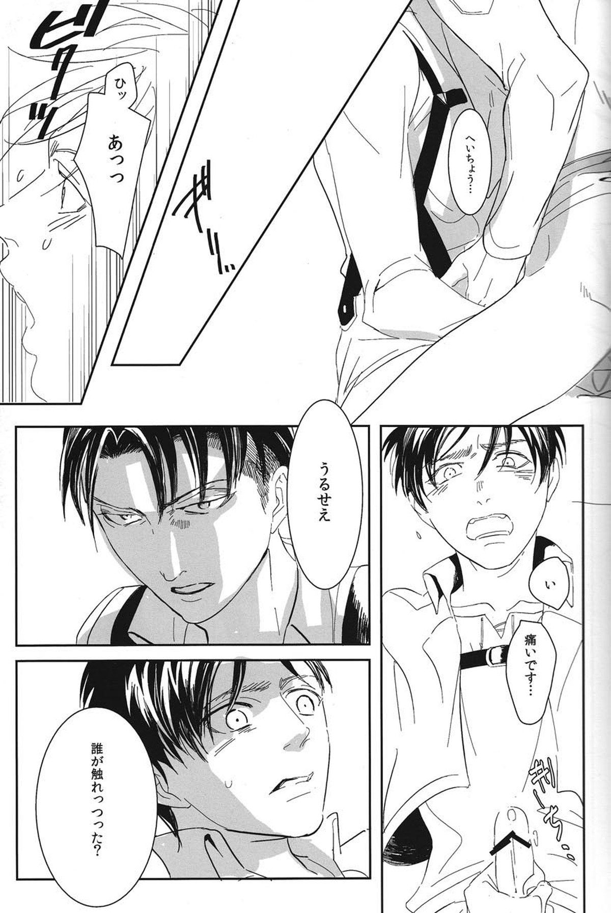 「この、豚野郎が。」【進撃の巨人/エレリ】 page 12