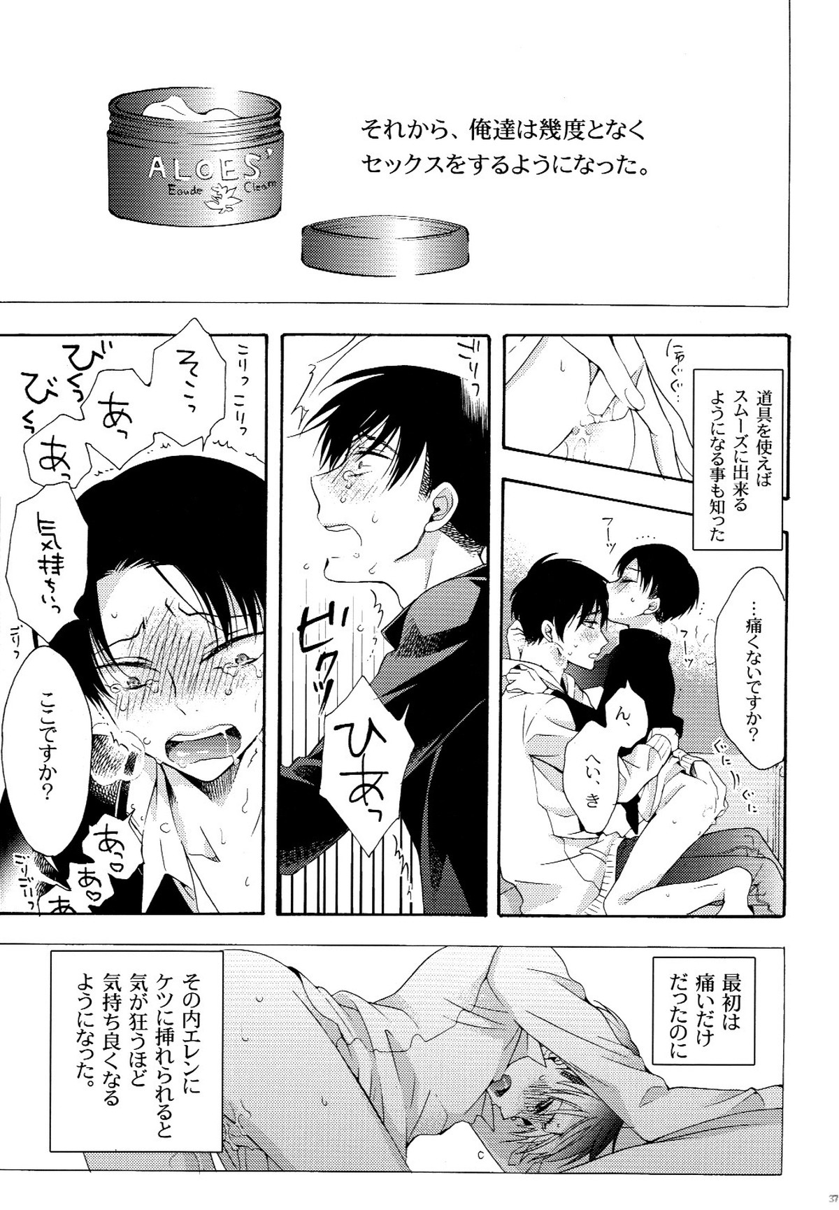 向日葵の咲く冬【進撃の巨人/エレリ】 page 37
