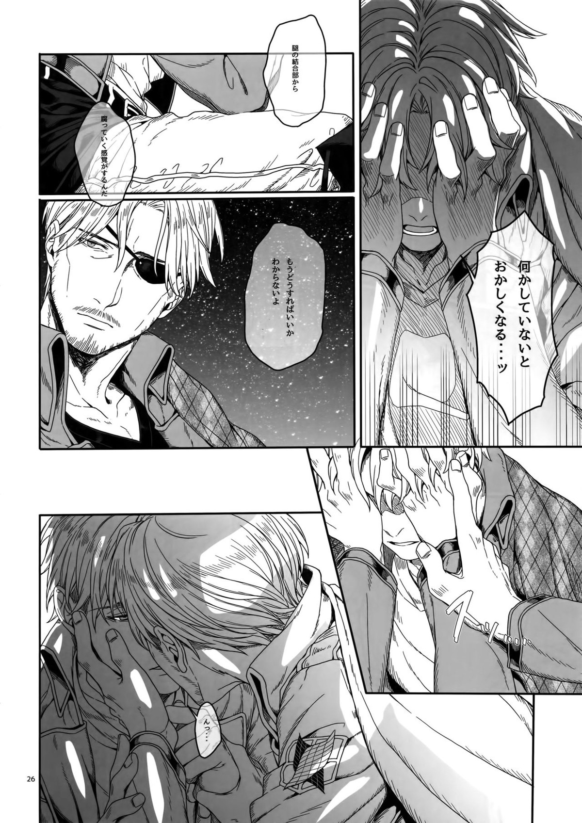 胸のしじまを切り裂いて【進撃の巨人/ミケナナ】 page 25