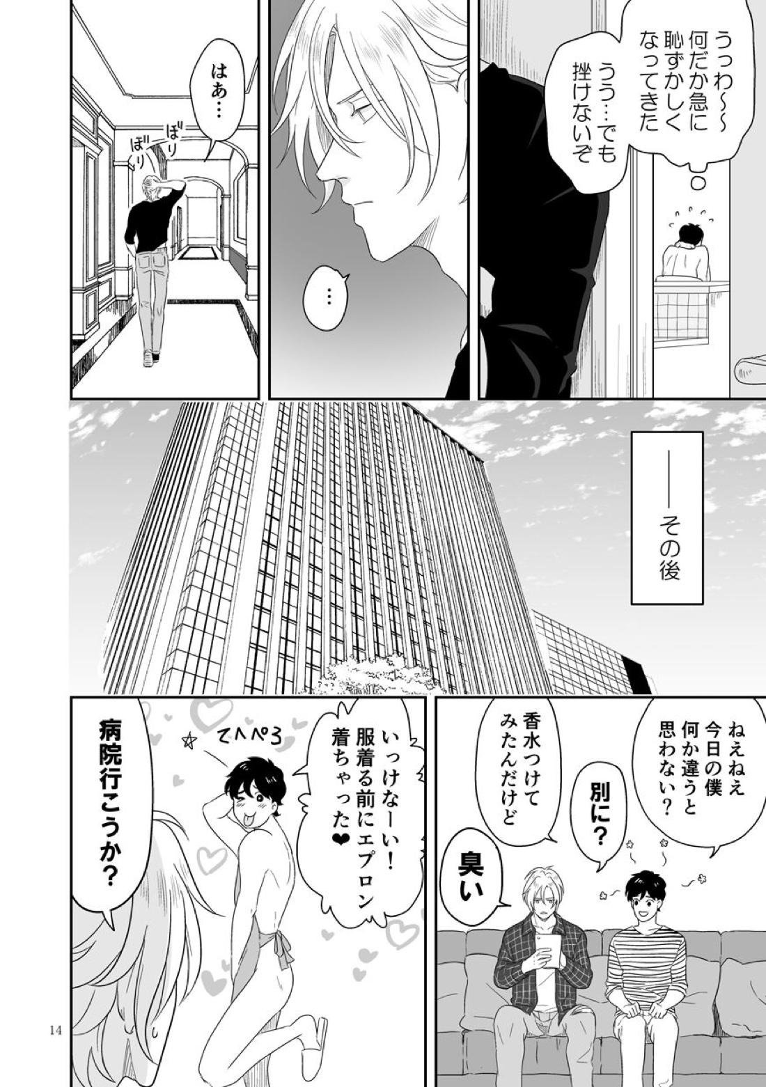 プラスマイナスゼロ【BANANA FISH/アッシュ×英二】 page 15