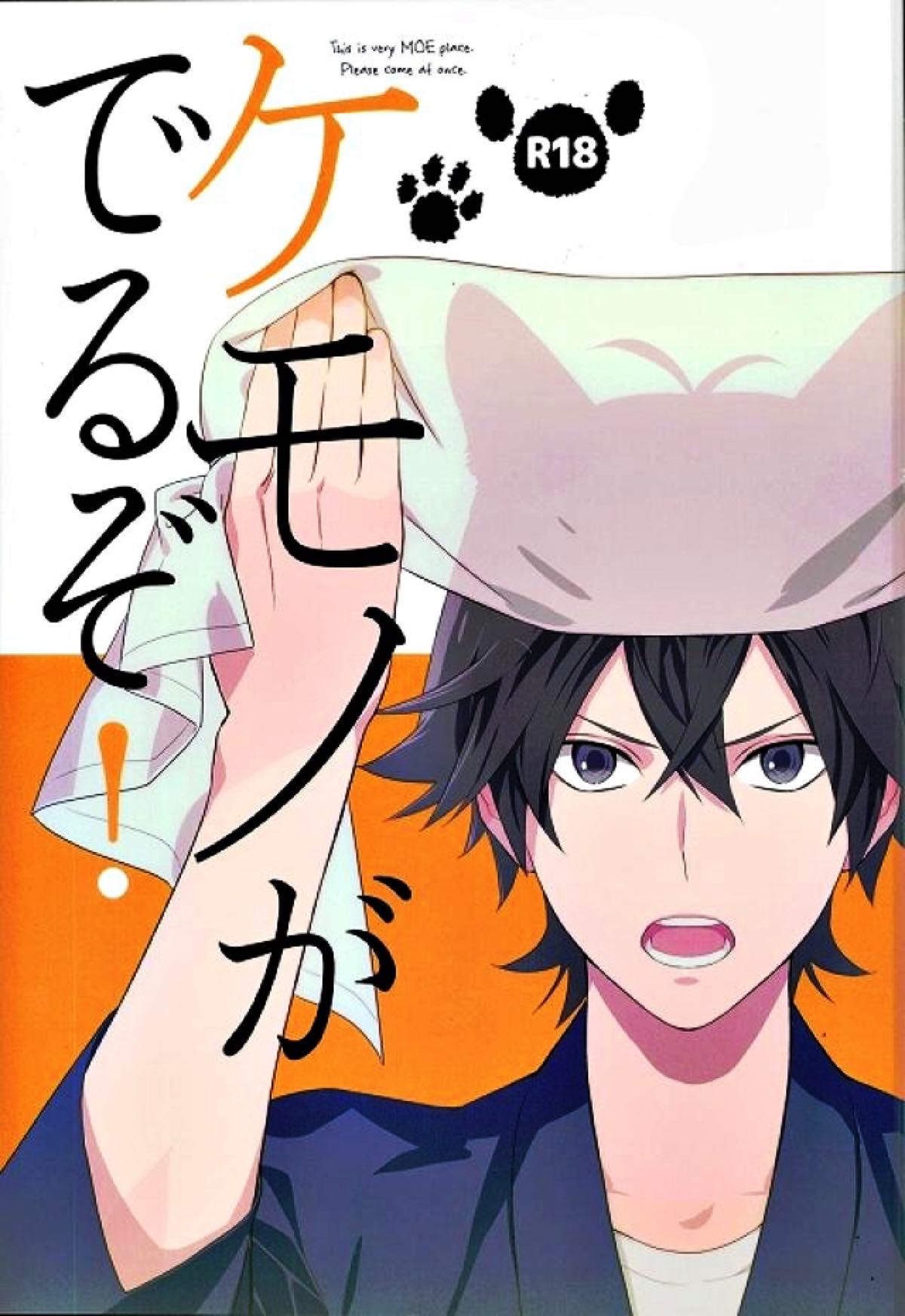 BL manga "ケモノがでるぞ！【ばらかもん/ヒロ清】" cover image