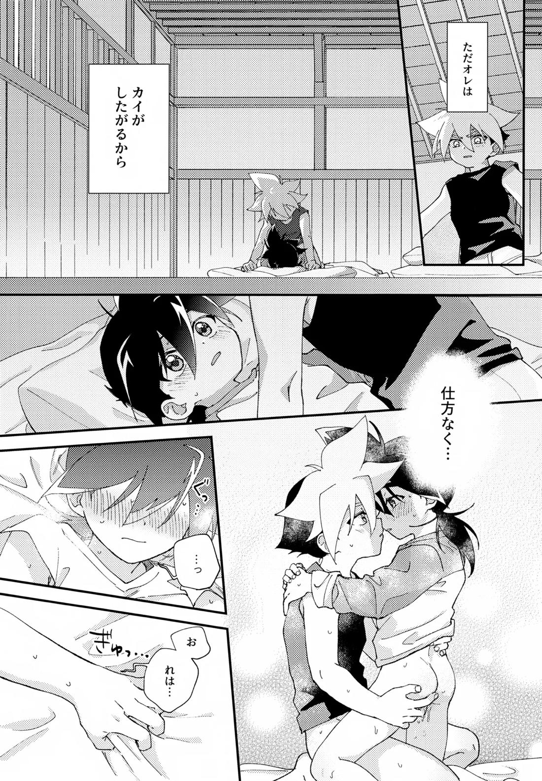 今夜はゆっくり（したかった）【ベイブレード/カイタカ】 page 23