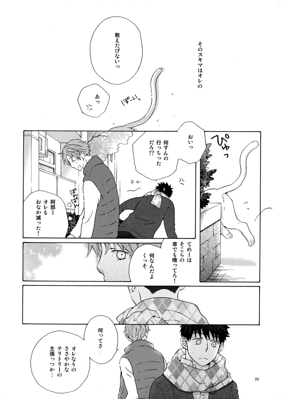 オレとアイツのスキマの猫【おおきく振りかぶって/水アベ】 page 28