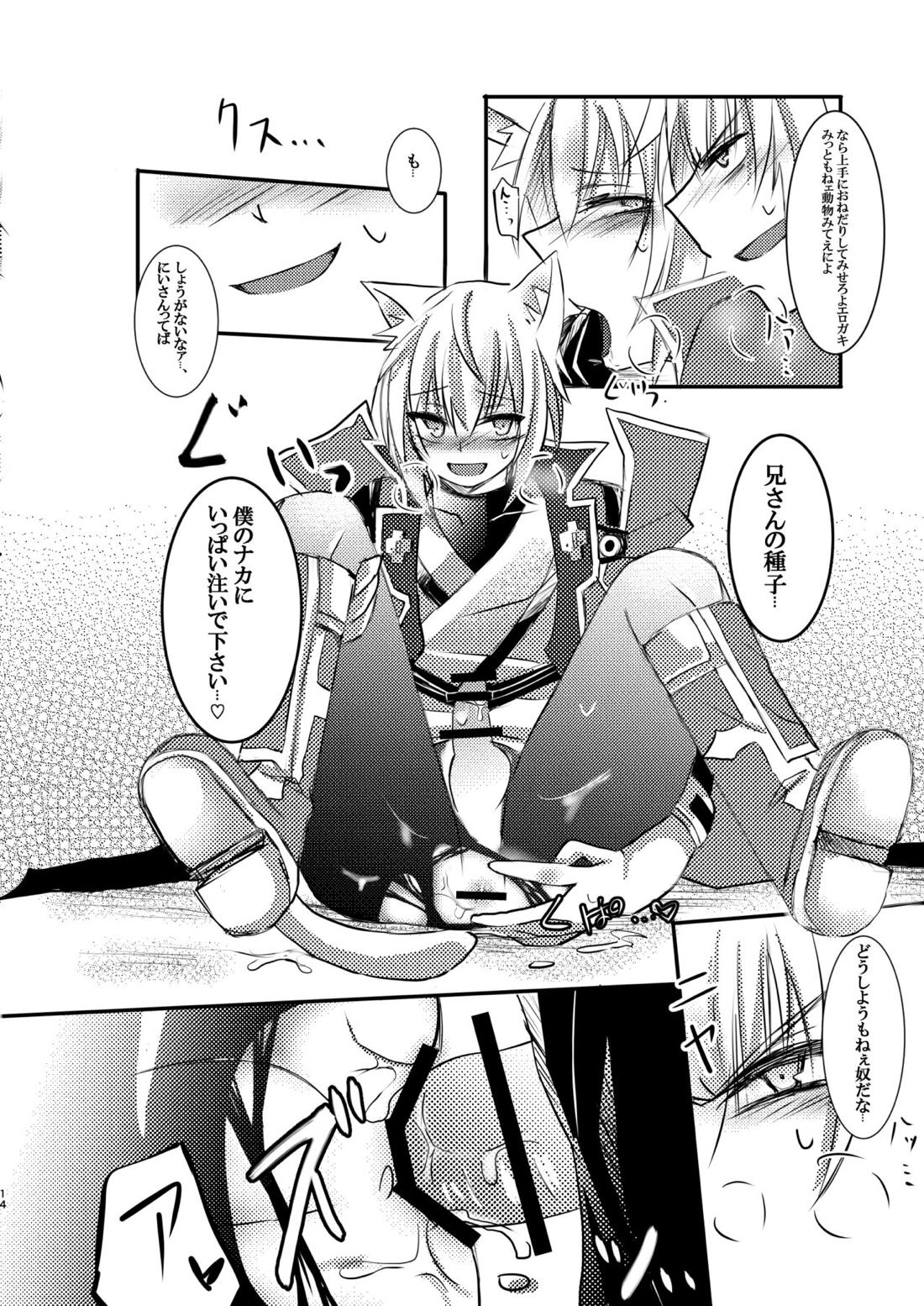 僕はね、兄さんなら兄さんでさえあればそれでいいんだよ 勿論殺意だけどね。【BLAZBLUE/ラグジン】 page 14