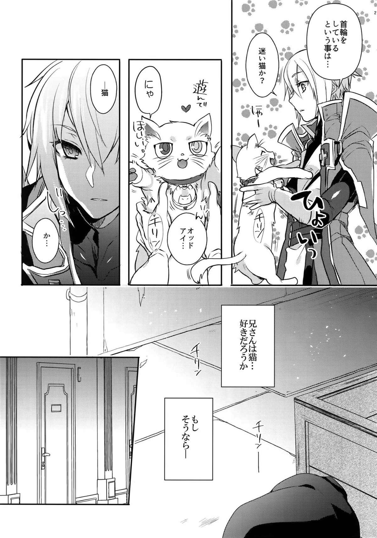 とある衛士の妄想日誌【BLAZBLUE/ラグジン】 page 22