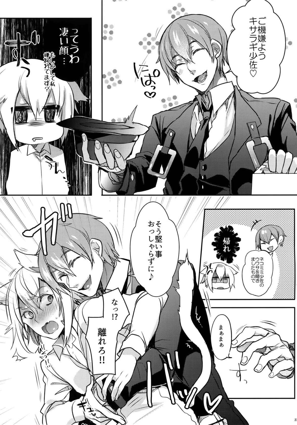 とある衛士の妄想日誌【BLAZBLUE/ラグジン】 page 24