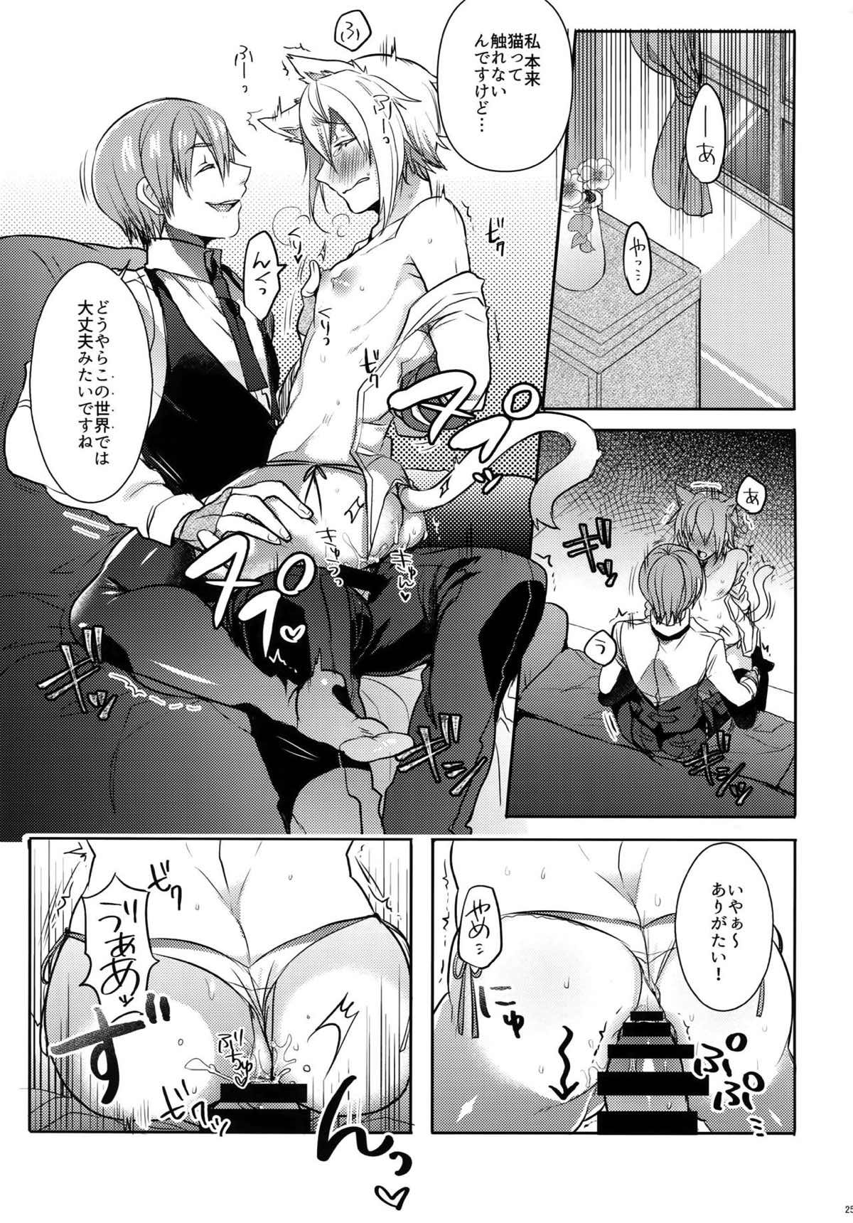 とある衛士の妄想日誌【BLAZBLUE/ラグジン】 page 26