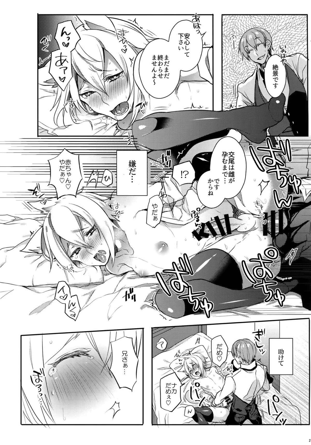 とある衛士の妄想日誌【BLAZBLUE/ラグジン】 page 28