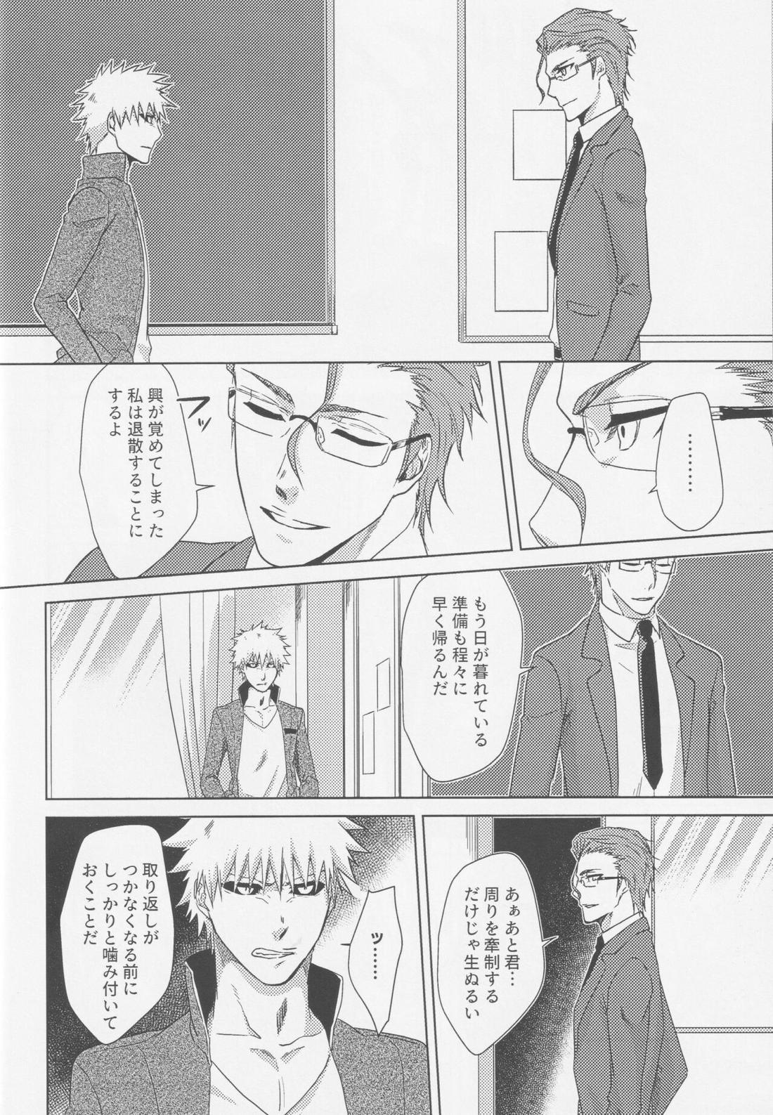 TorL【BLEACH/白一護×一護】 page 11