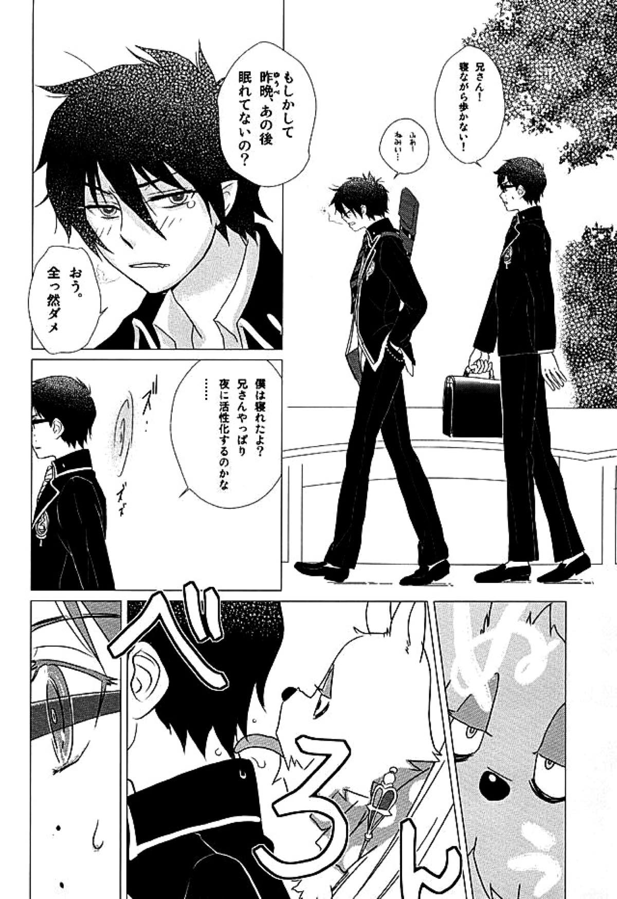 THE OTHER SIDE【青の祓魔師/燐雪】 page 31