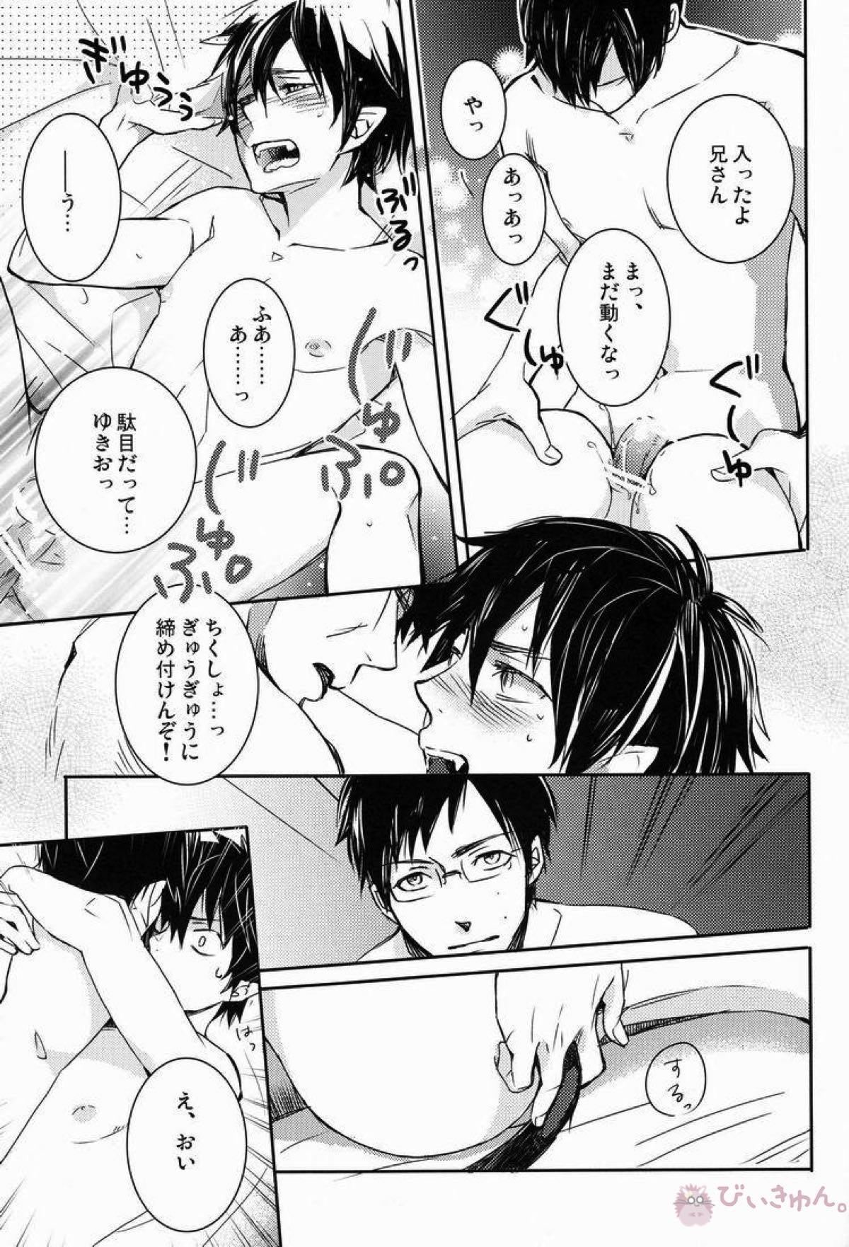 どうしたって弟は兄には敵わない【青の祓魔師/雪燐】 page 14
