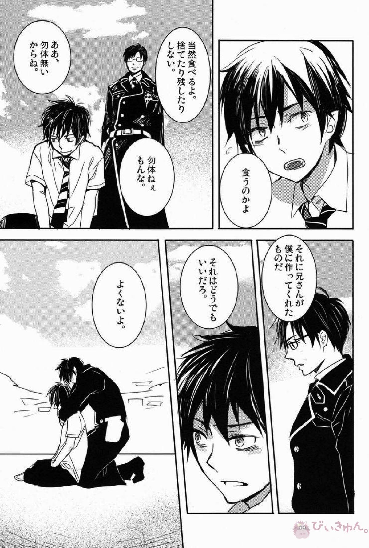 どうしたって弟は兄には敵わない【青の祓魔師/雪燐】 page 26