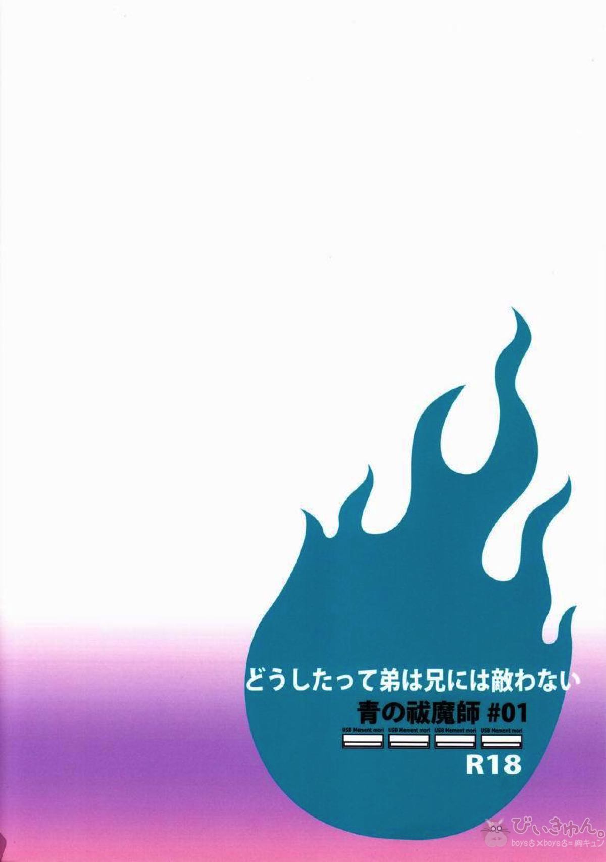 どうしたって弟は兄には敵わない【青の祓魔師/雪燐】 page 30