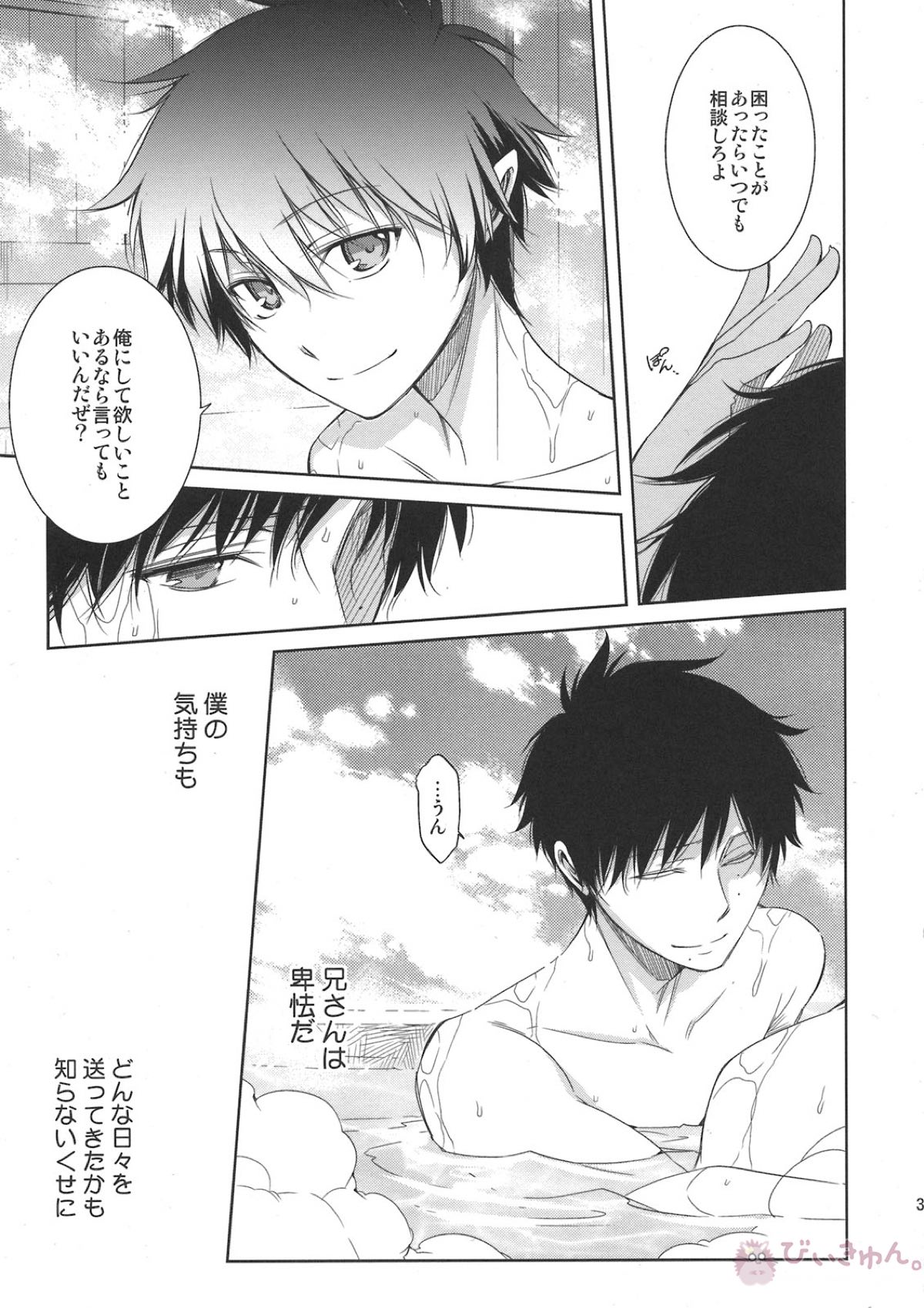 正十字學園奇譚【青の祓魔師/雪燐】 page 33