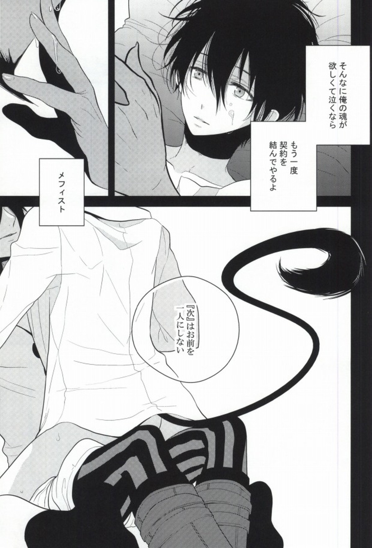Die Person, die Licht liebt【青の祓魔師/メフィ燐】 page 27