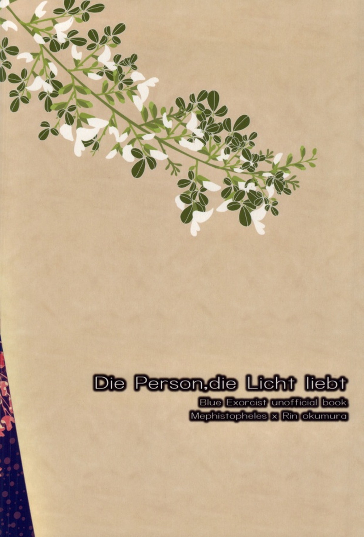 Die Person, die Licht liebt【青の祓魔師/メフィ燐】 page 30