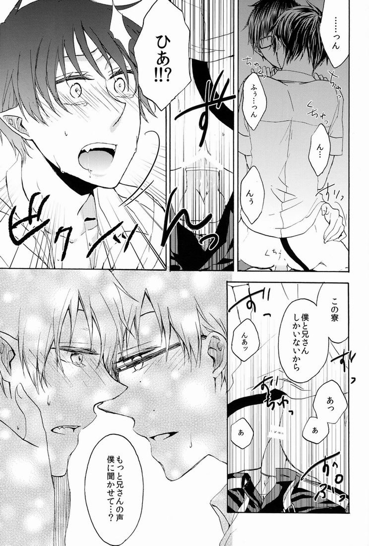 アドレッセンスブルー【青の祓魔師/雪燐】 page 28