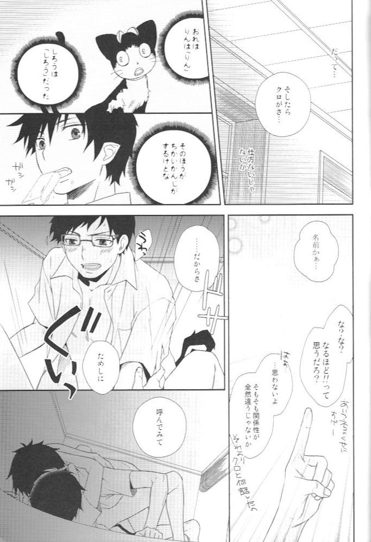 記憶にございません!【青の祓魔師/雪燐】 page 11
