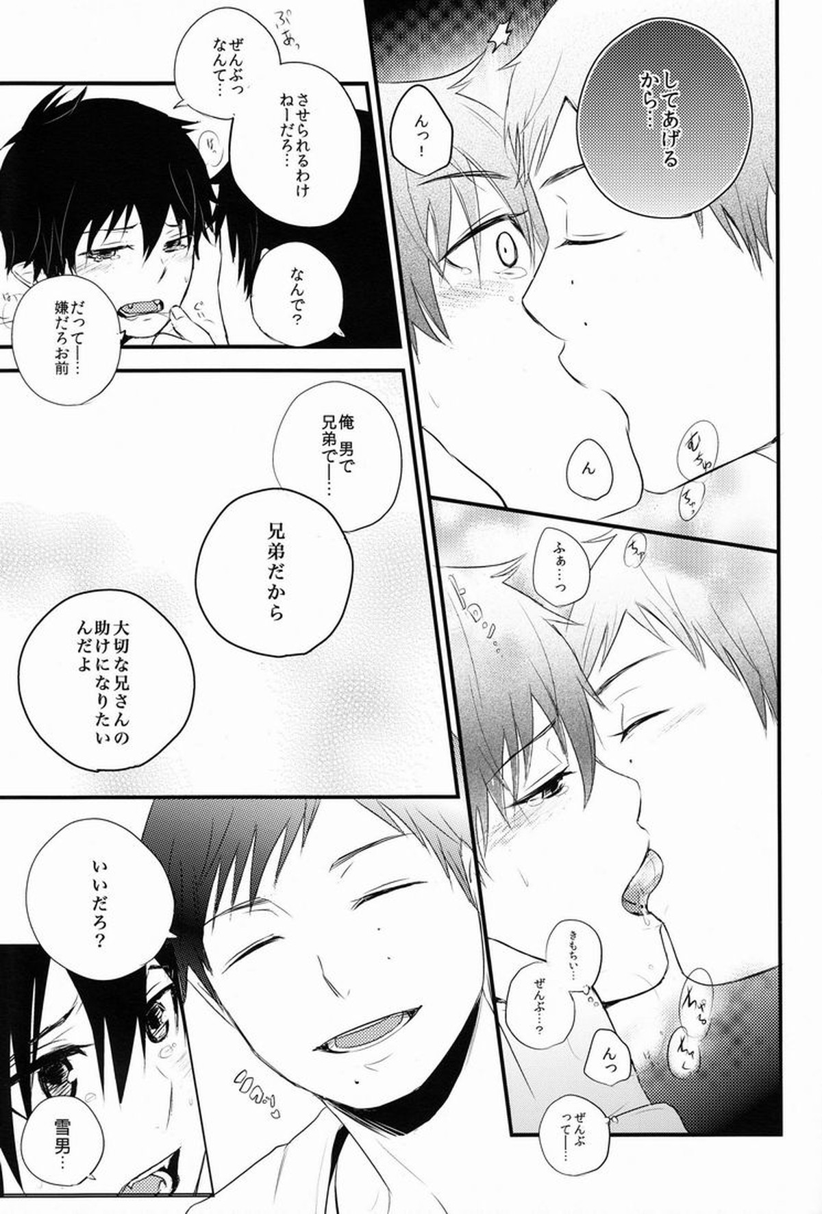 僕は兄さんの犬でいい【青の祓魔師/雪燐】 page 18