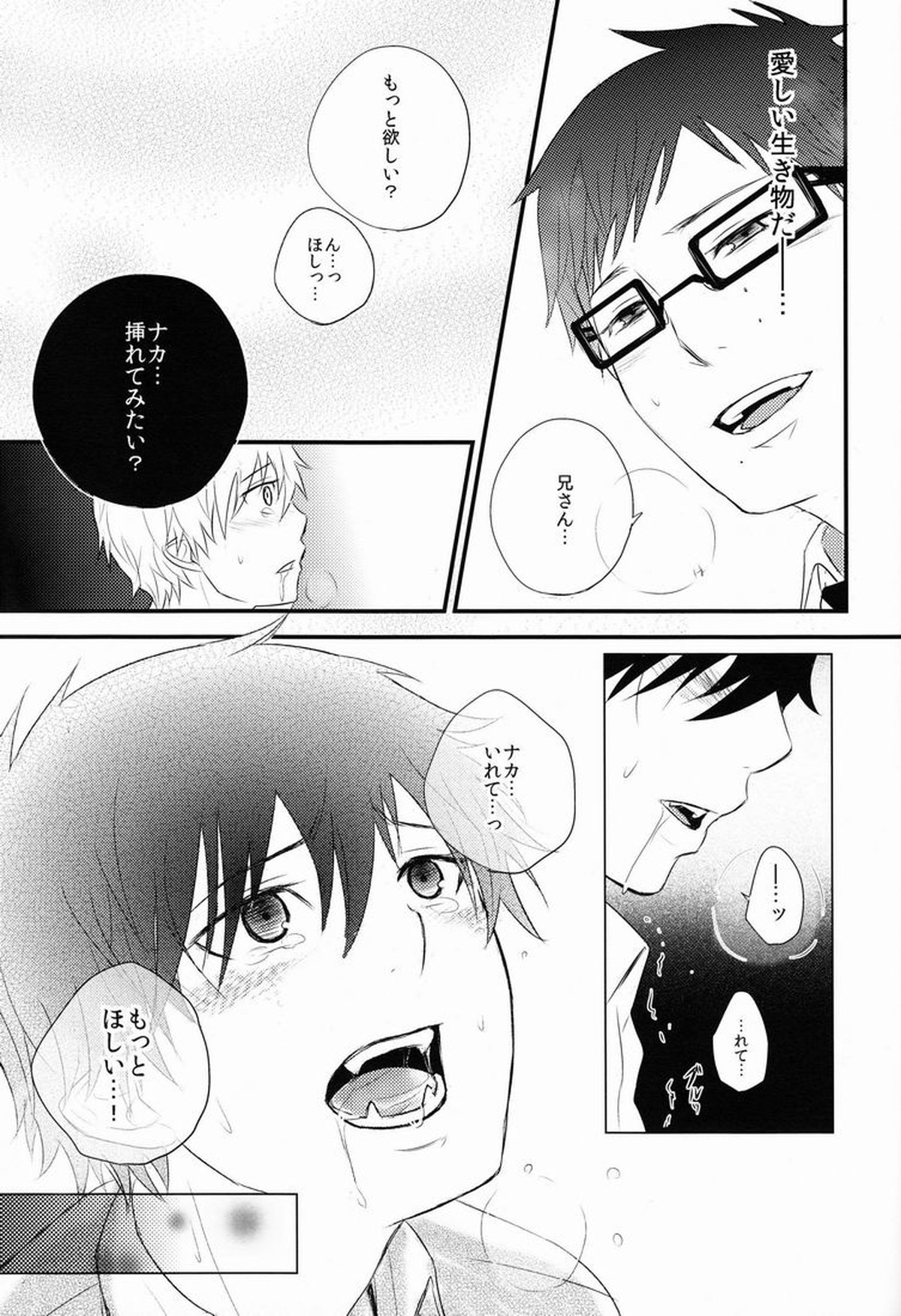 僕は兄さんの犬でいい【青の祓魔師/雪燐】 page 26
