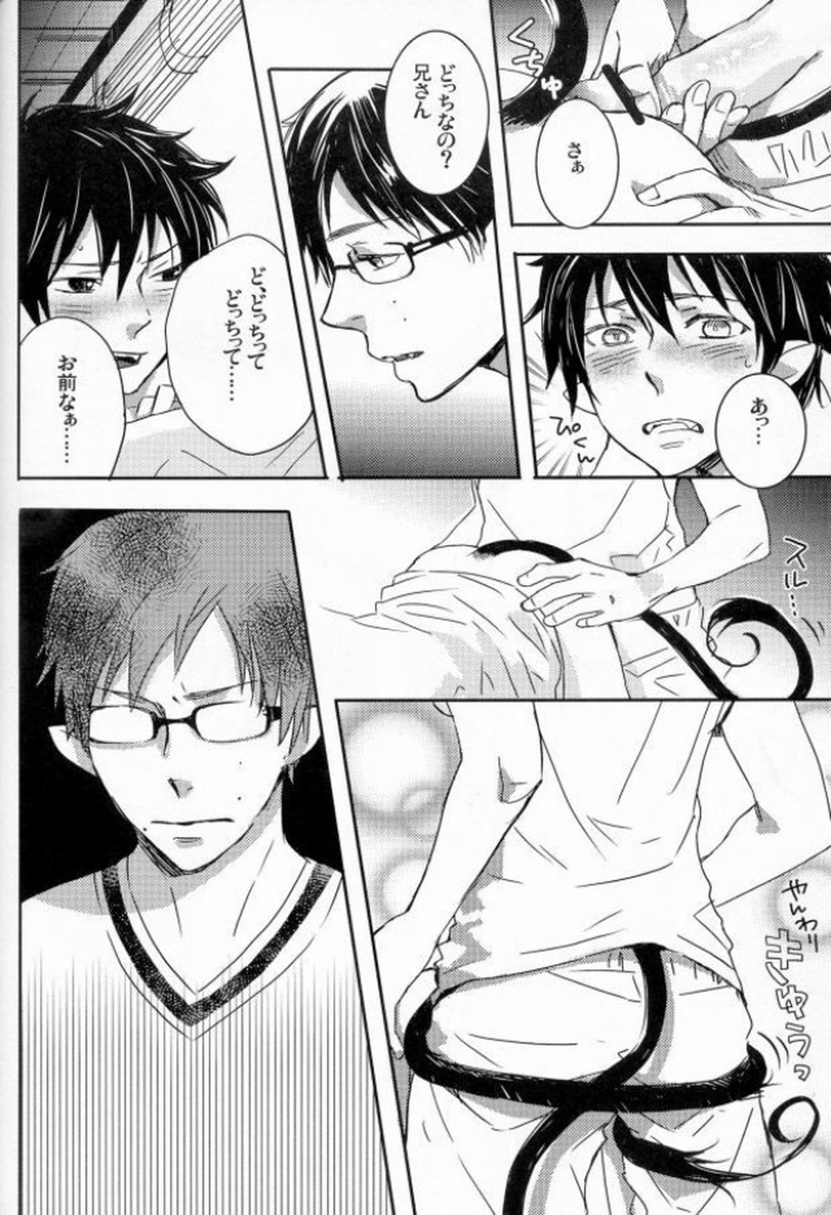 これからの話をしよう【青の祓魔師/雪燐】 page 12