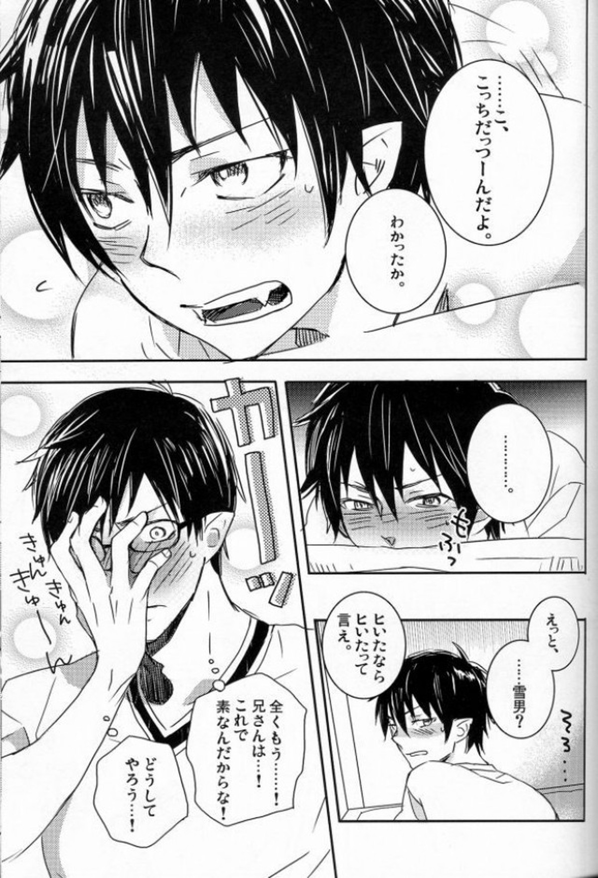 これからの話をしよう【青の祓魔師/雪燐】 page 13