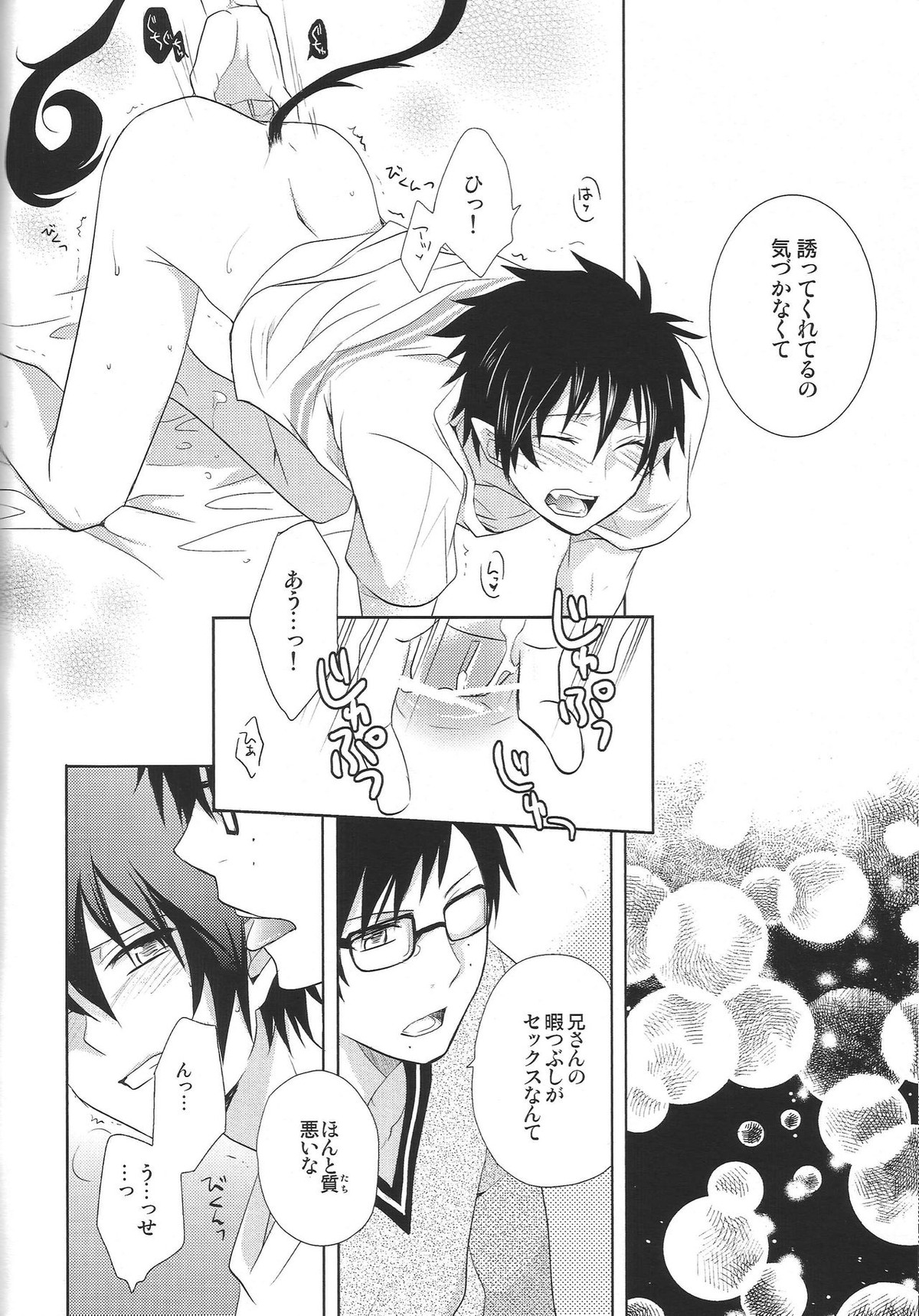 とある兄バカの祓魔師。【青の祓魔師/雪燐】 page 15