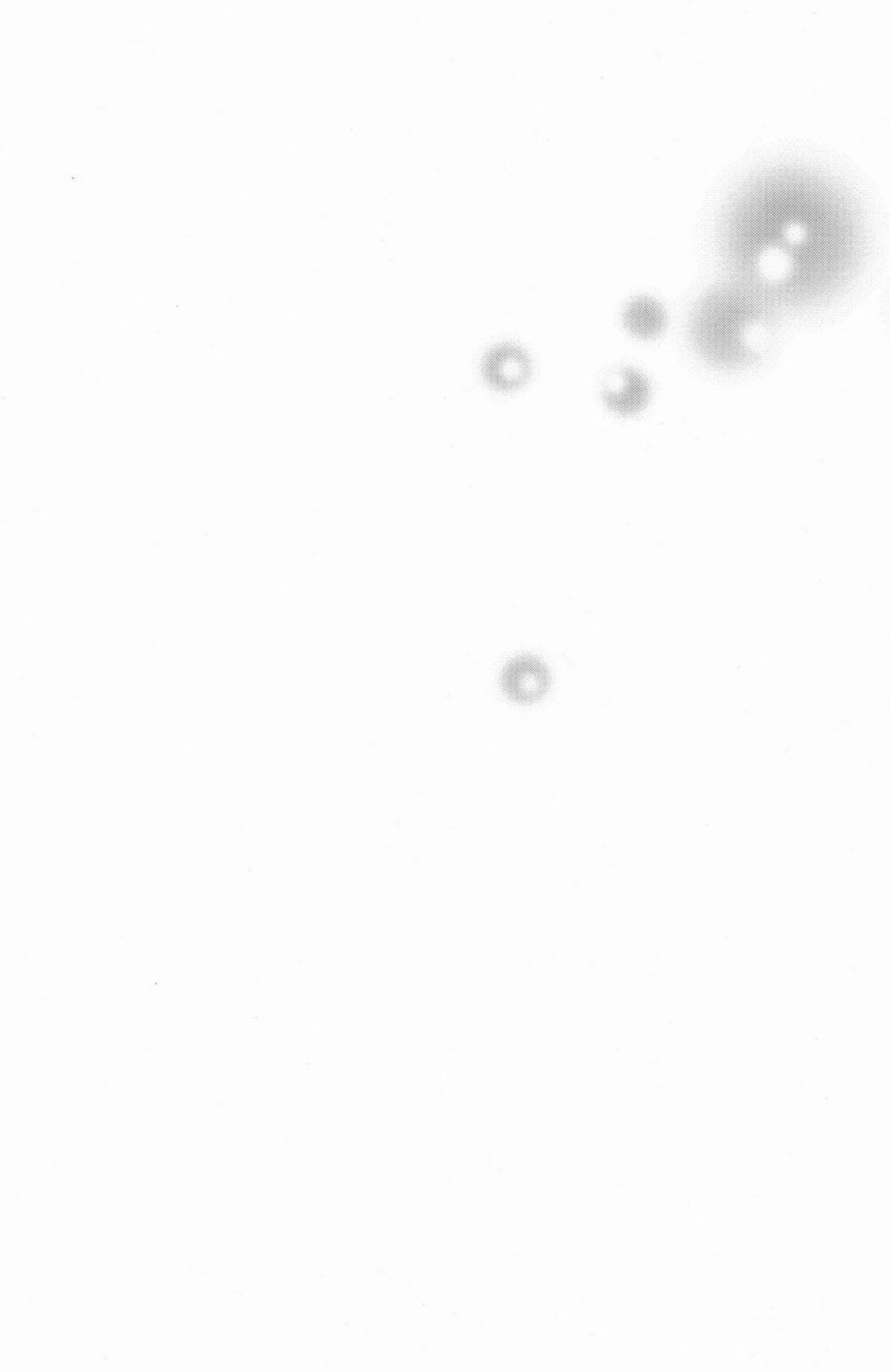 FILLKILLREVERSEMY MOMENT【青の祓魔師/雪燐】 page 66