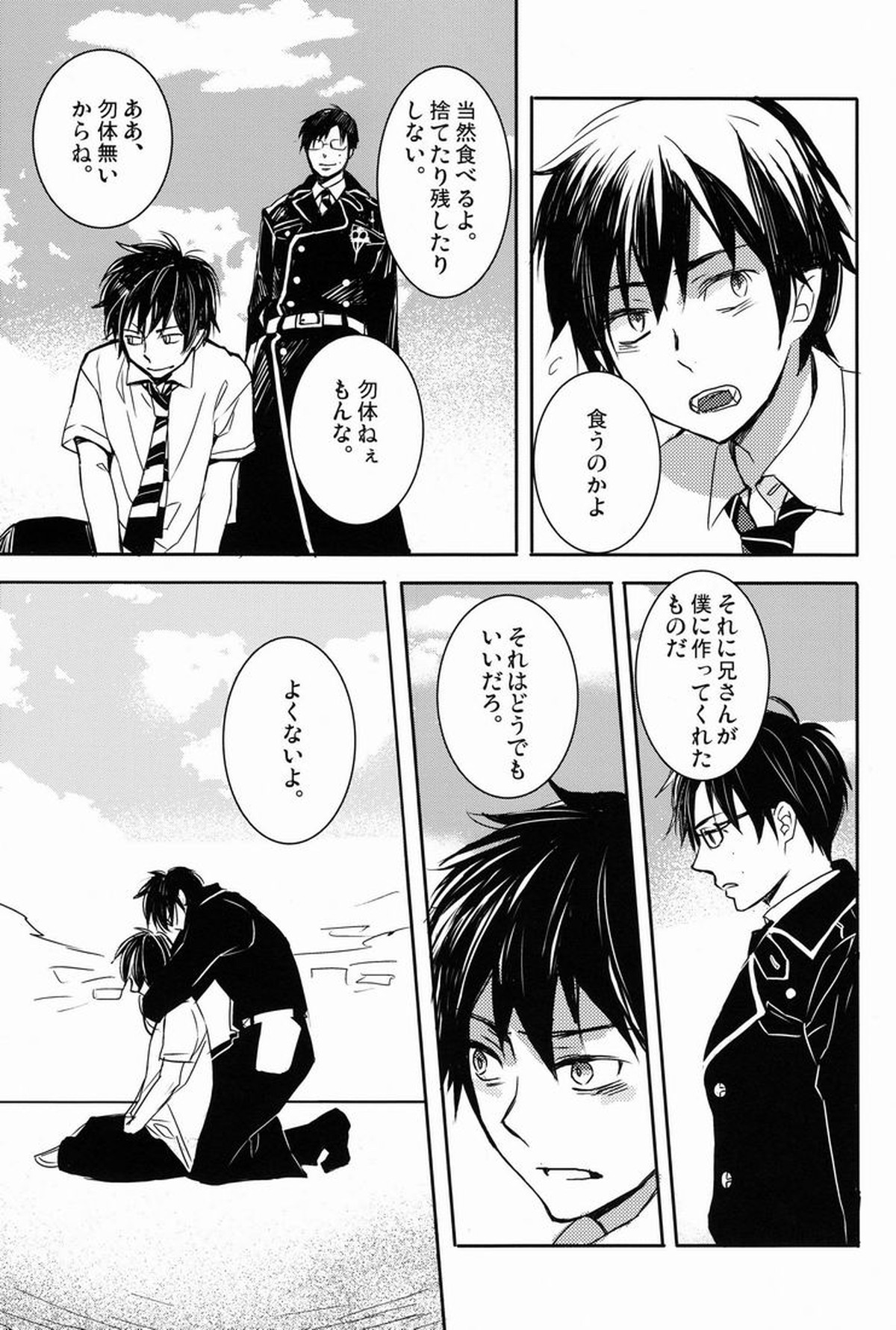 どうしたって弟は兄には敵わない【青の祓魔師/雪燐】 page 26