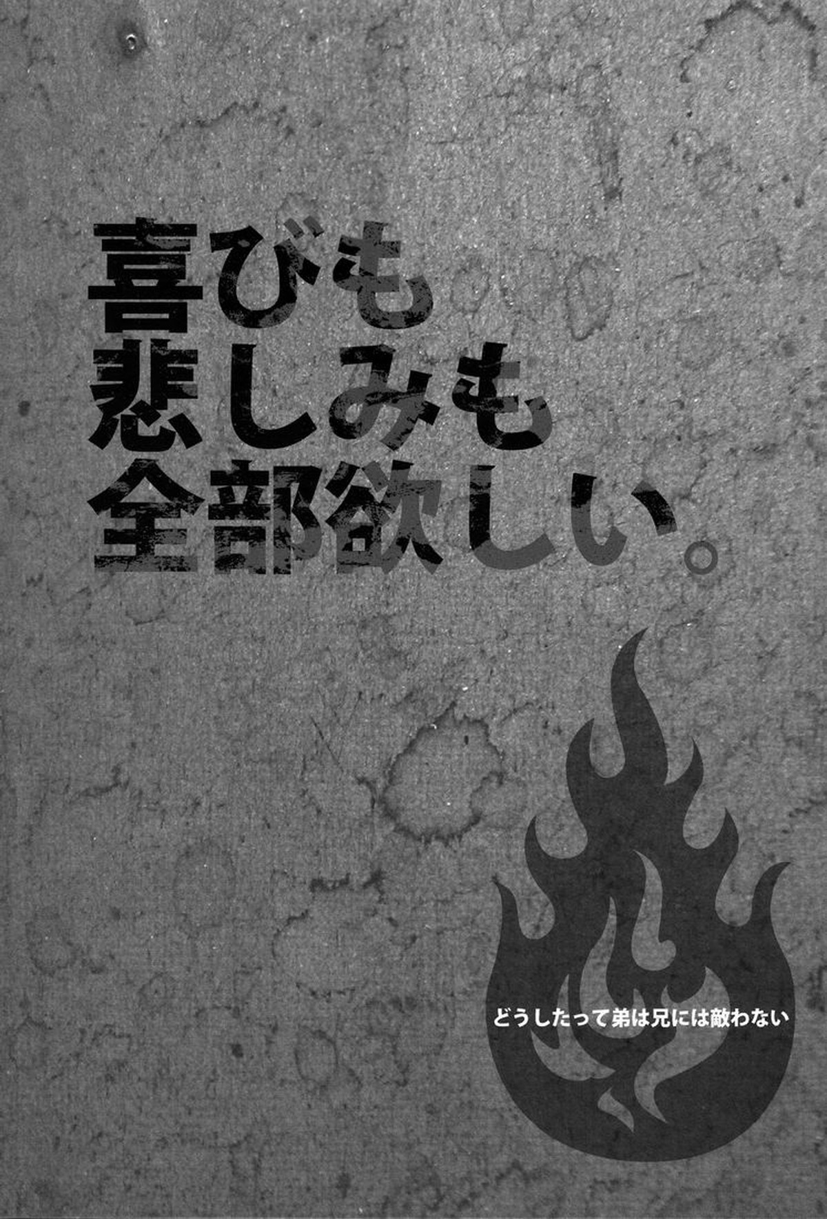 どうしたって弟は兄には敵わない【青の祓魔師/雪燐】 page 28