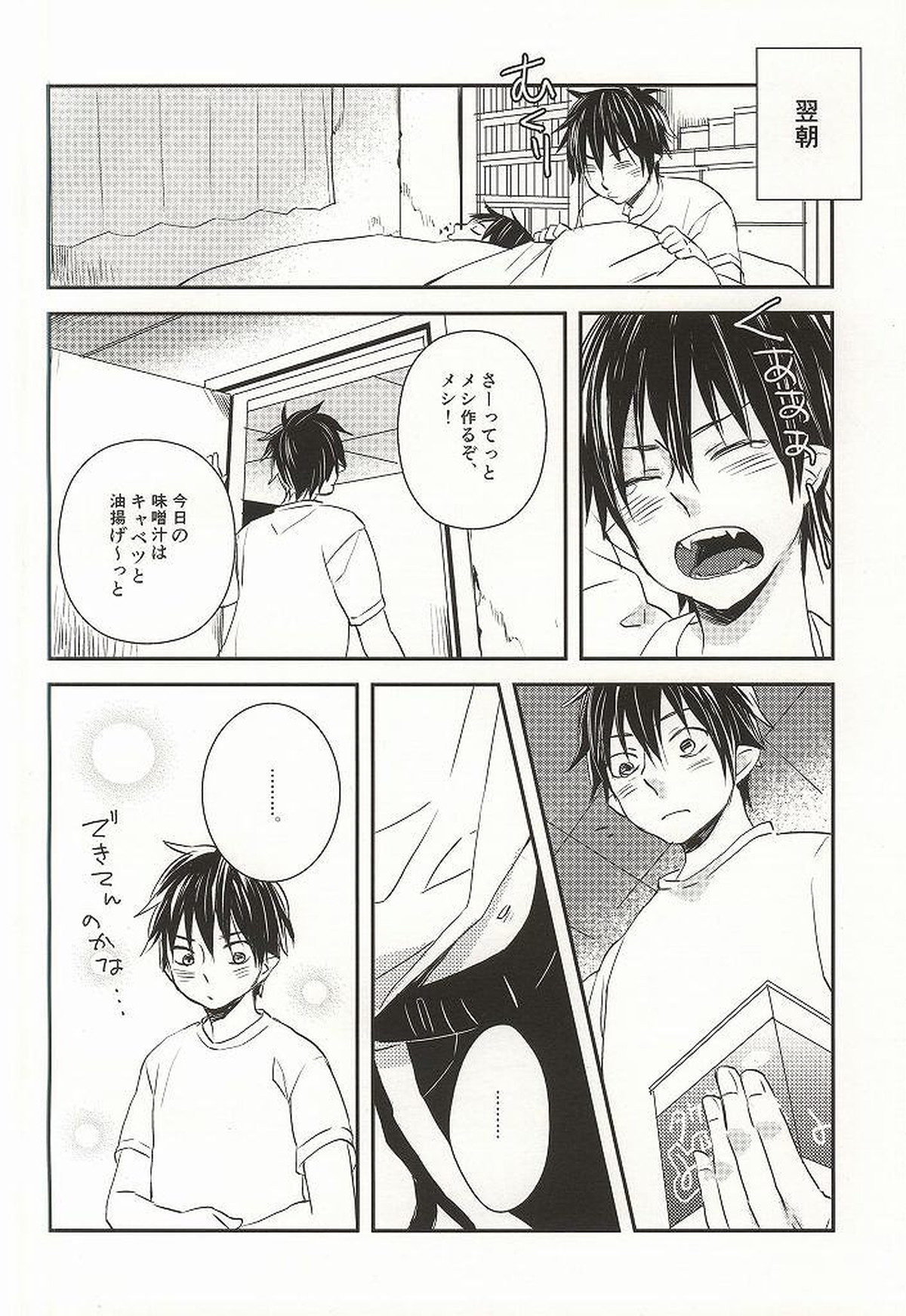 弟のお嫁さんになりました【青の祓魔師/雪燐】 page 21