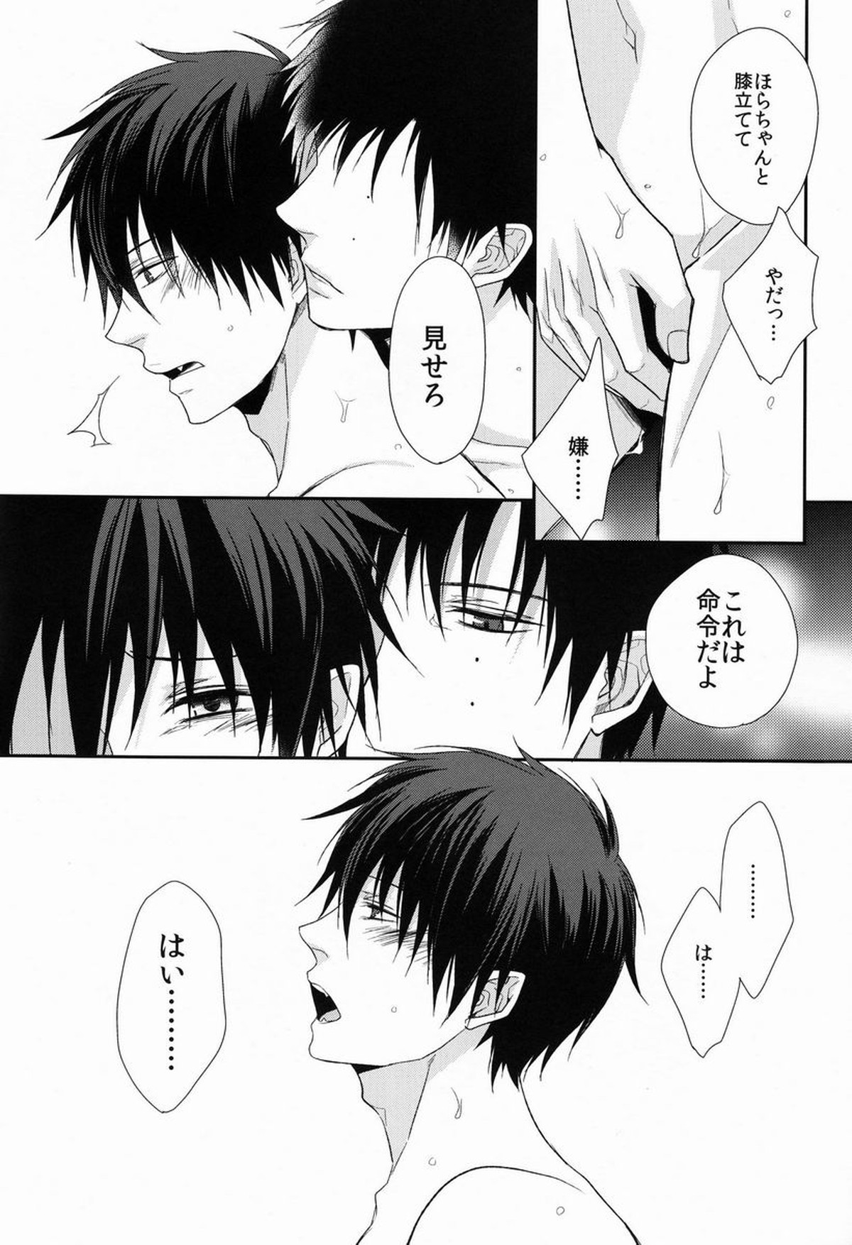 ドグラ【青の祓魔師/雪燐】 page 13