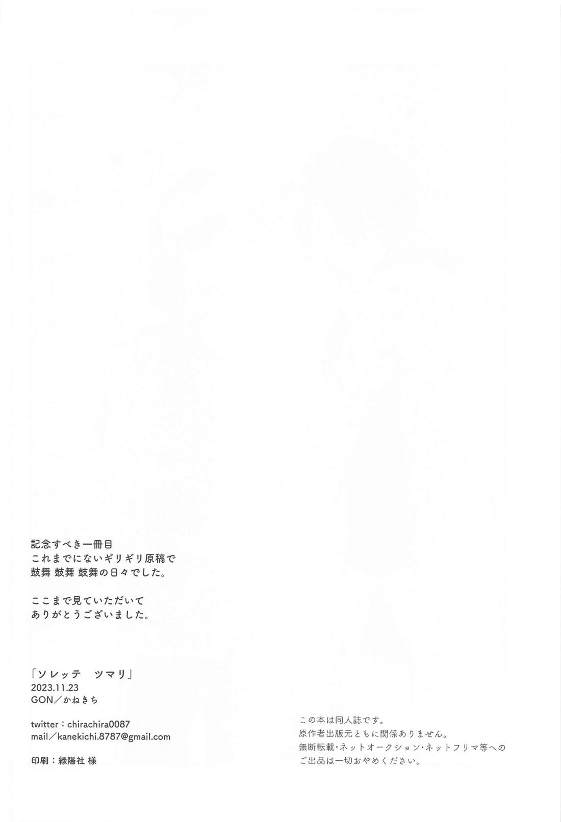 ソレッテ ツマリ【ブルーロック/凛潔】 page 25