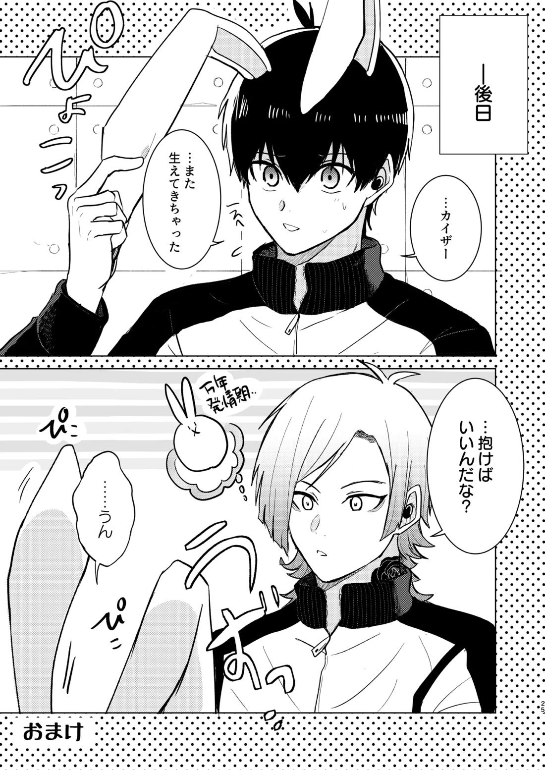 オレの世一がこんなにウサギなわけがない!【ブルーロック/カイ潔】 page 23