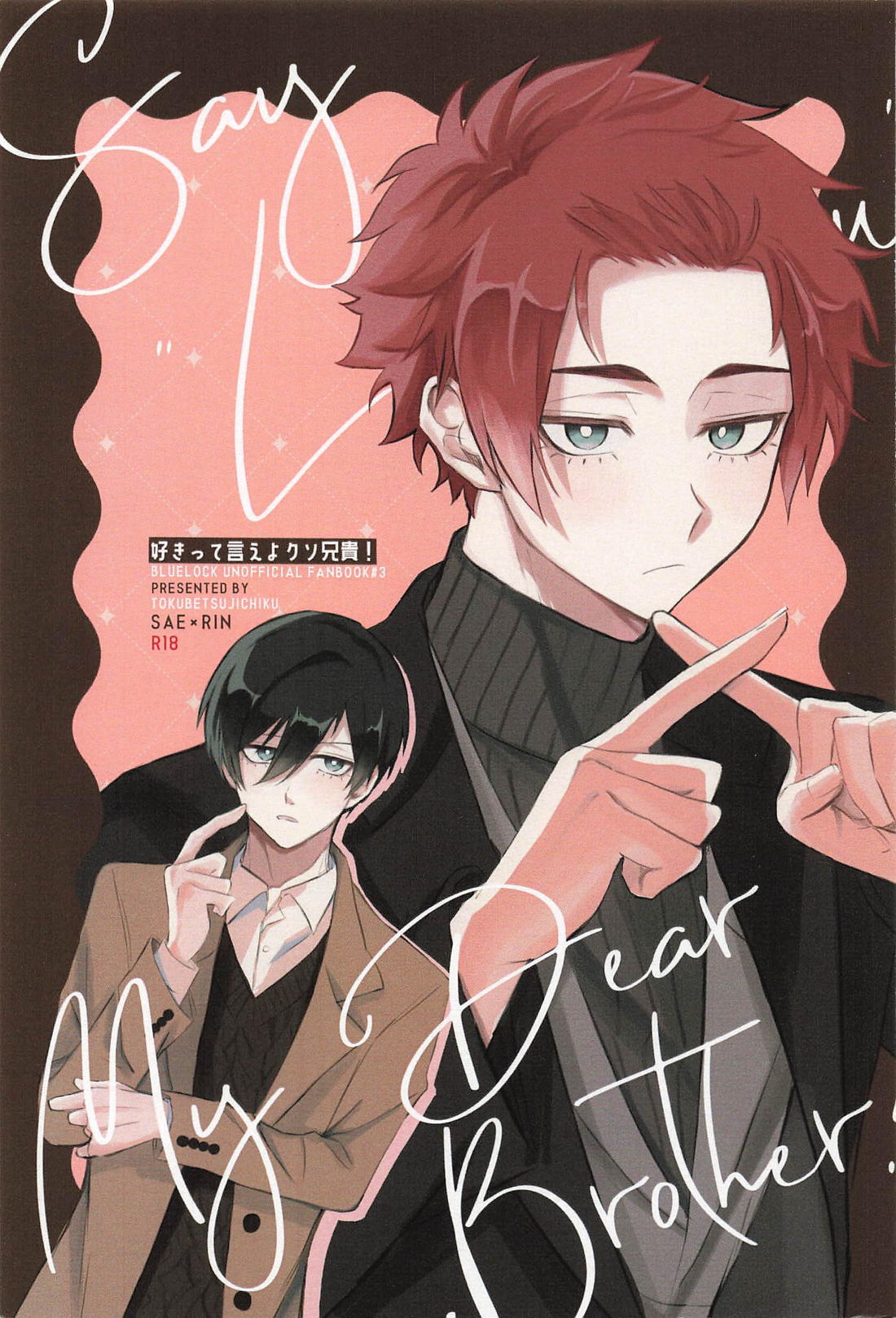 Recommended BL manga "好きって言えよクソ兄貴！【ブルーロック/冴凛】" cover image