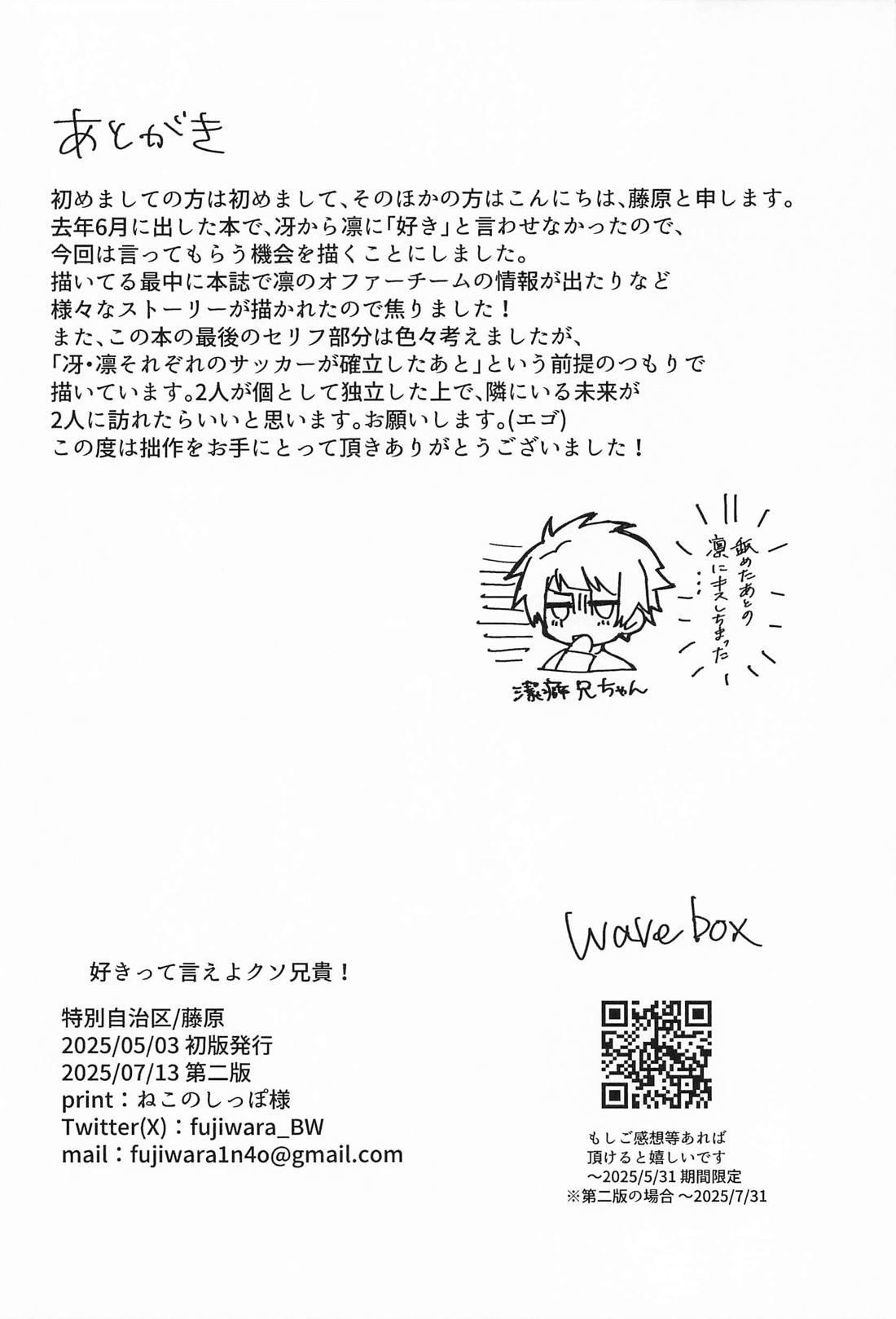 好きって言えよクソ兄貴！【ブルーロック/冴凛】 page 39