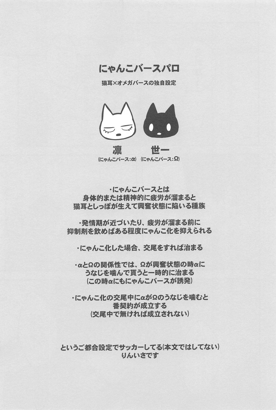 りんいさバラエティパック【ブルーロック/凛潔】 page 12