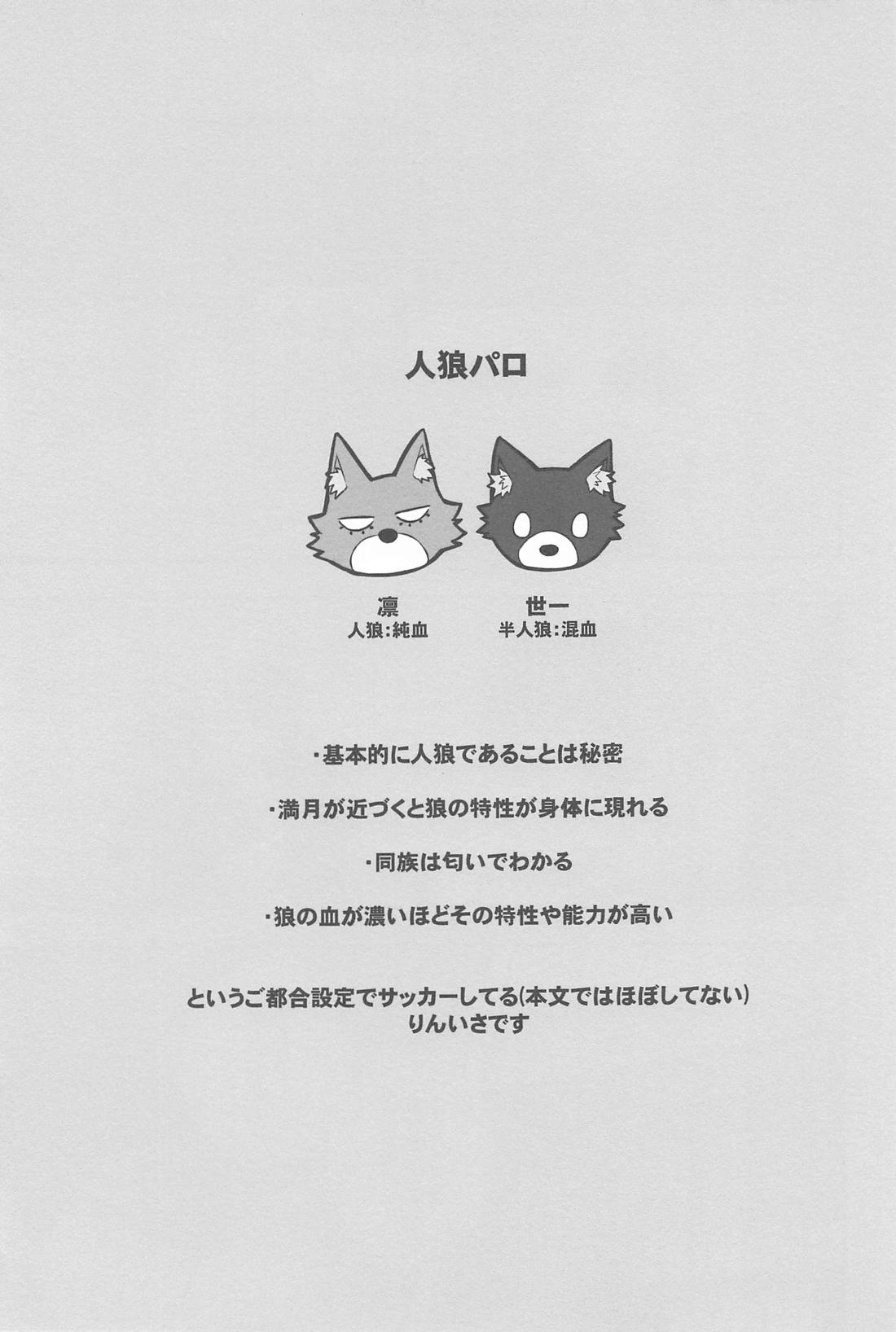 りんいさバラエティパック【ブルーロック/凛潔】 page 20