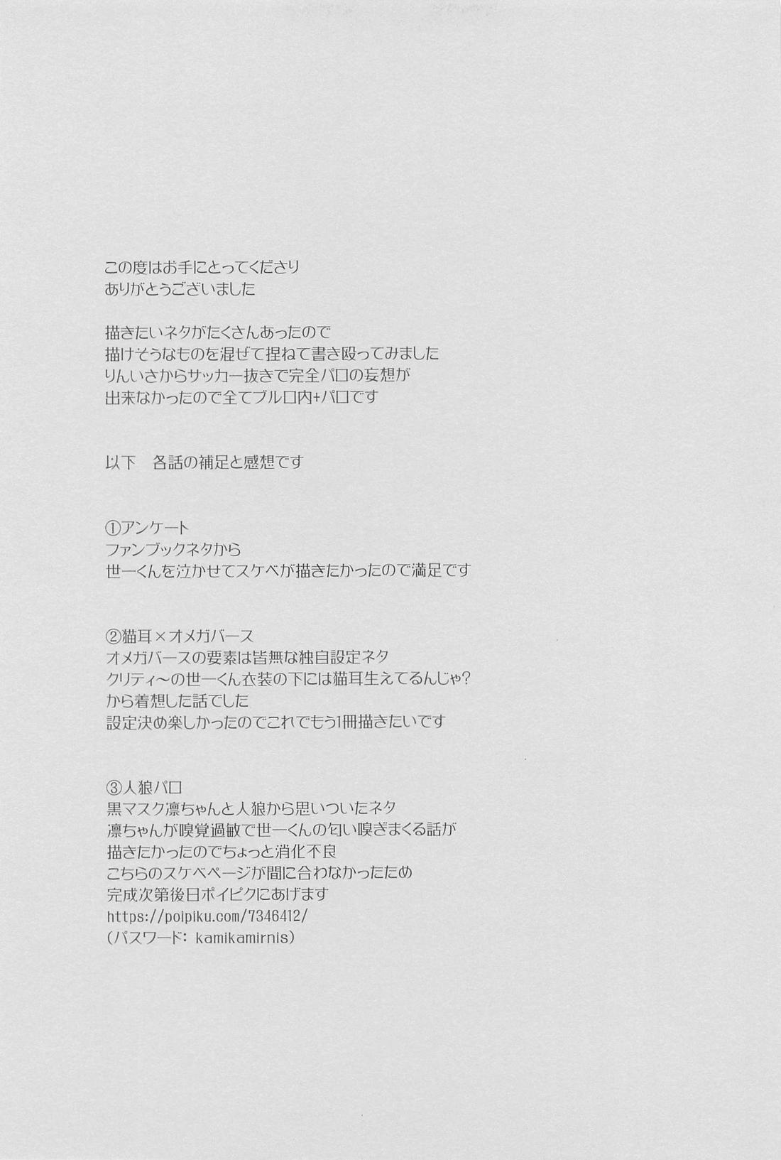 りんいさバラエティパック【ブルーロック/凛潔】 page 28